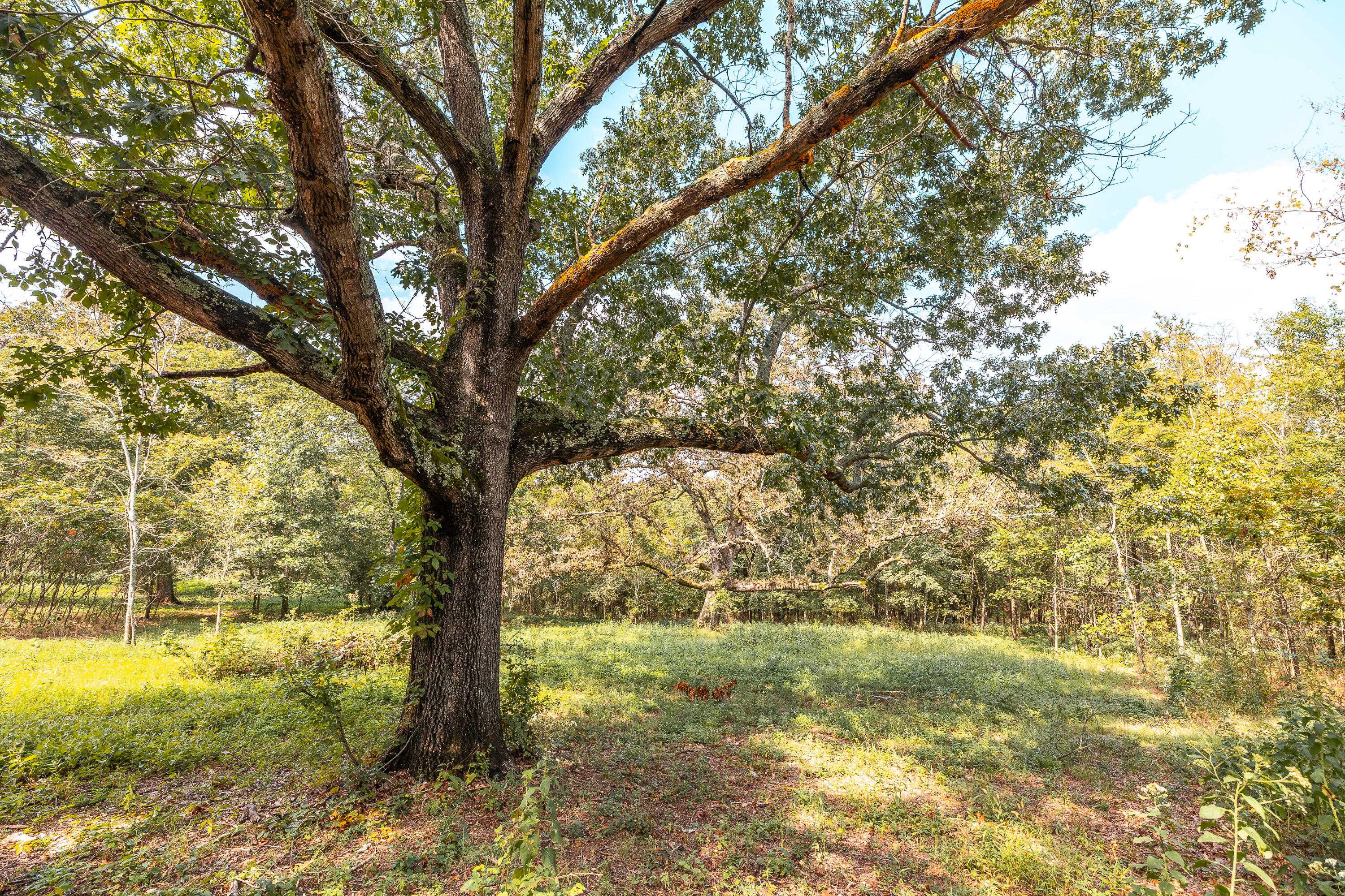 28060 Farm Rd 1268 #Lot 27, Golden, MO 65658