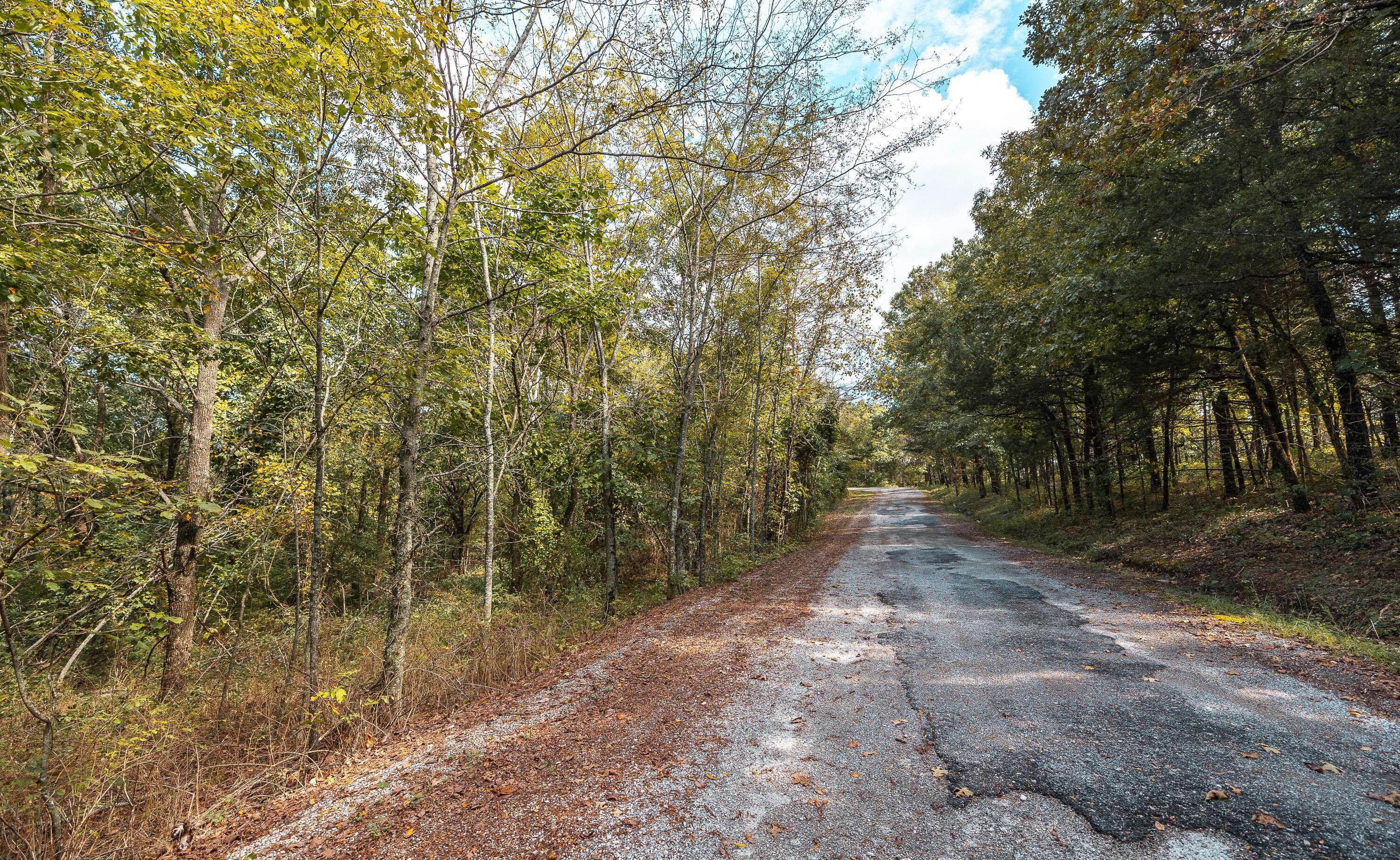 28060 Farm Rd 1268 #Lot 27, Golden, MO 65658