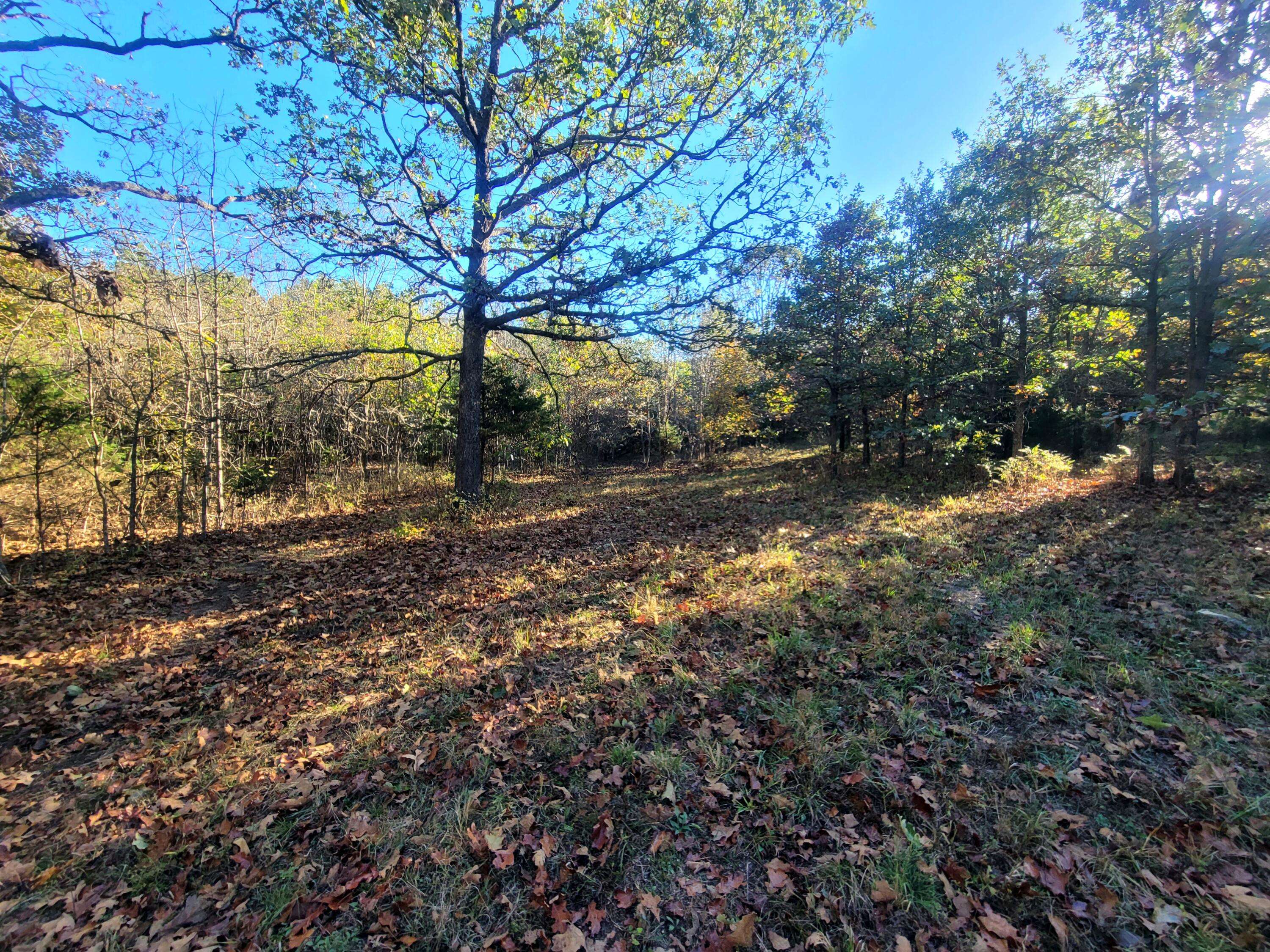 000 South 25th Road, Humansville, MO 65674