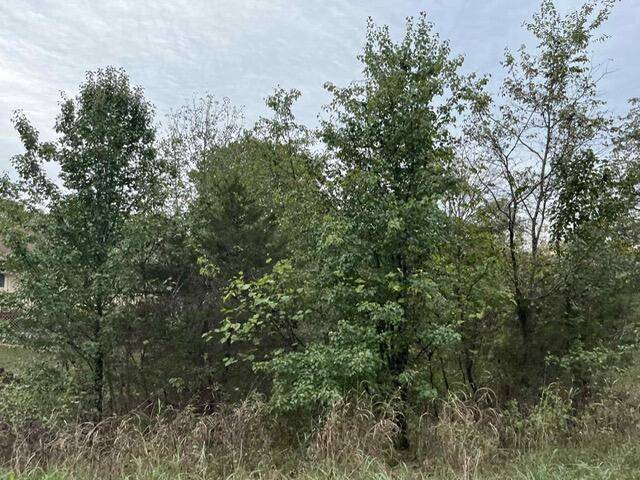 Lot 20 Rabbit Run, Cape Fair, MO 65624