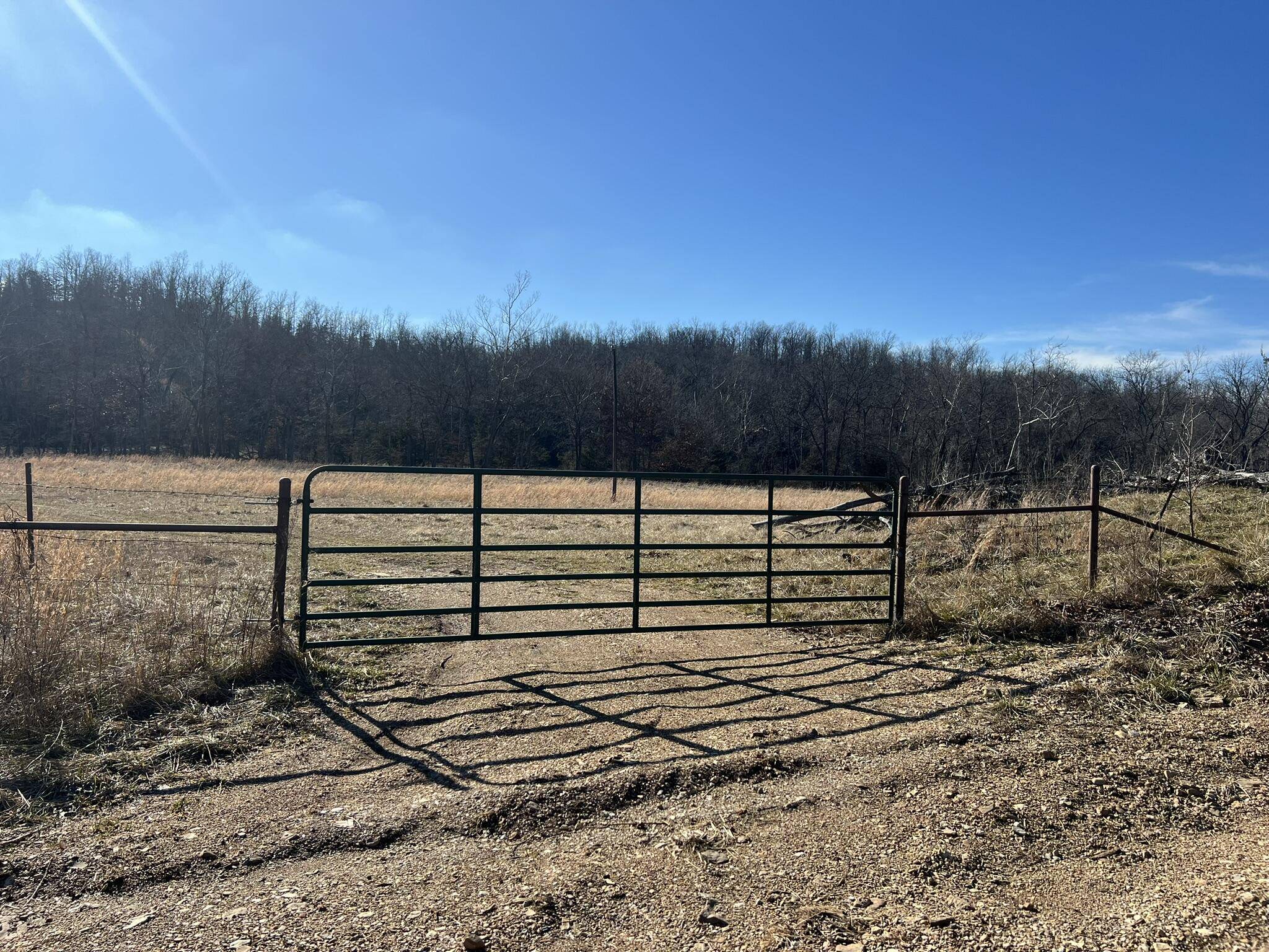 000 Shelton RD, Willow Springs, MO 65793