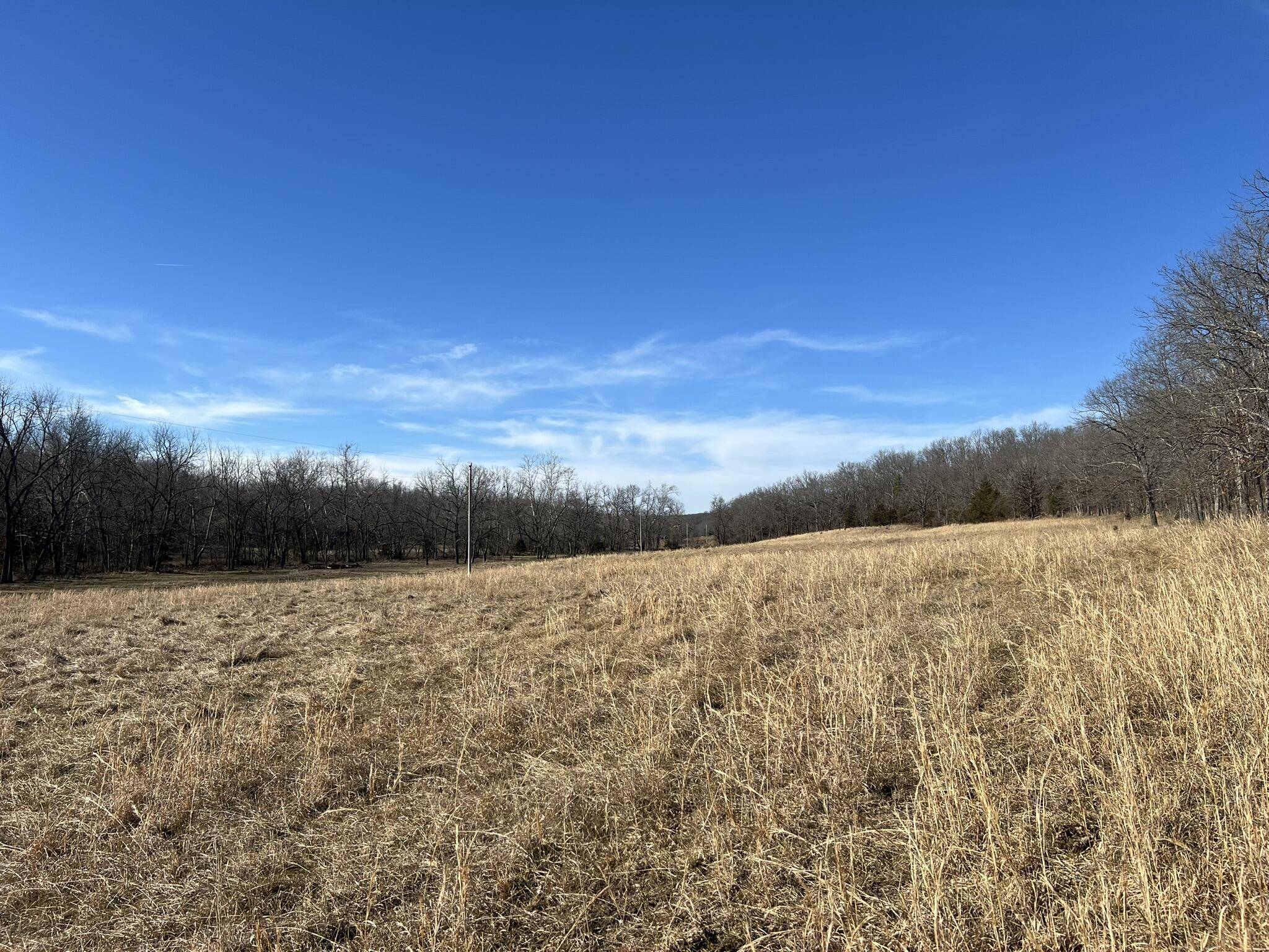 000 Shelton RD, Willow Springs, MO 65793
