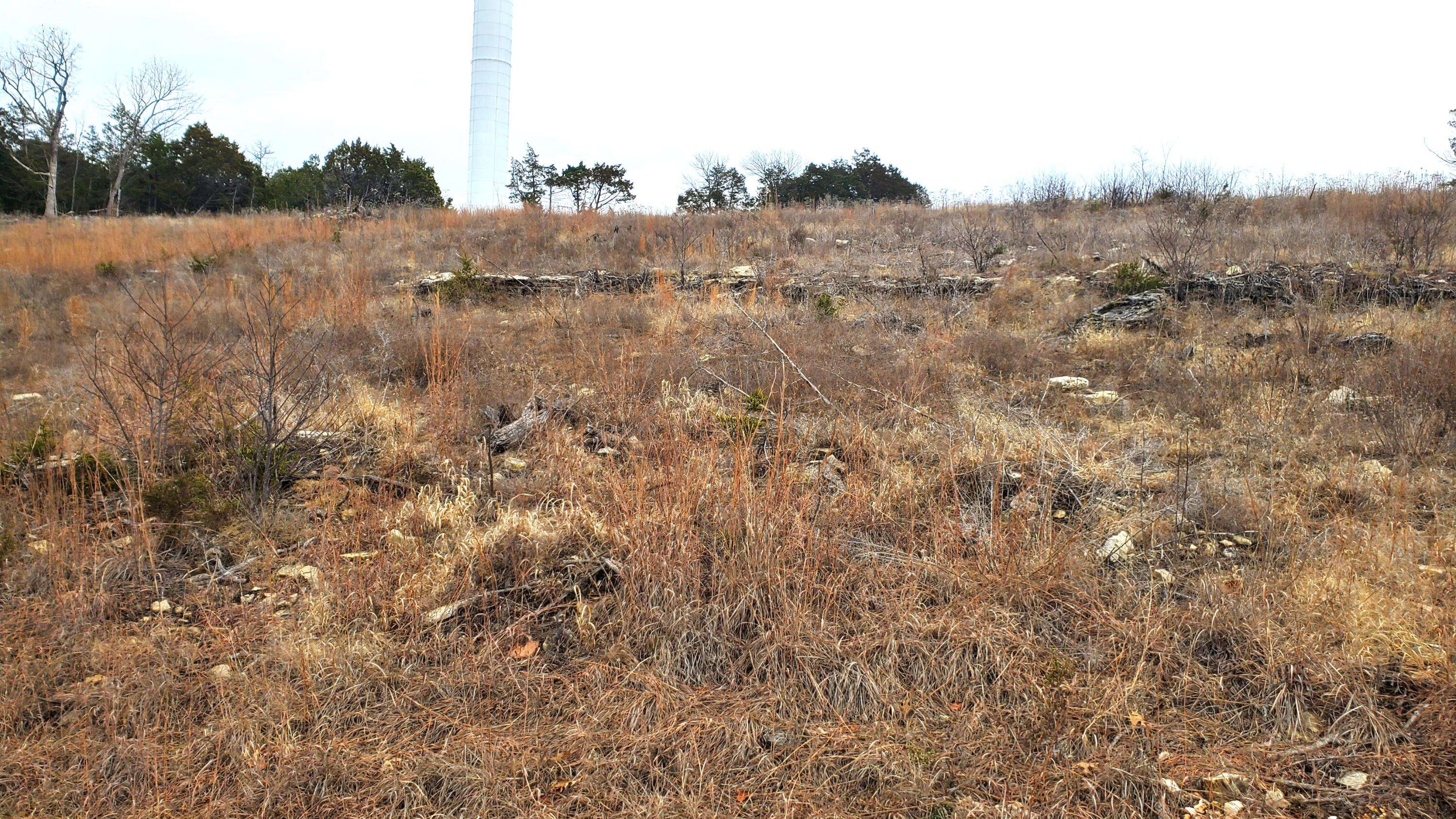 000 Lot 252 Silver Sunset Lane, Kimberling City, MO 65686