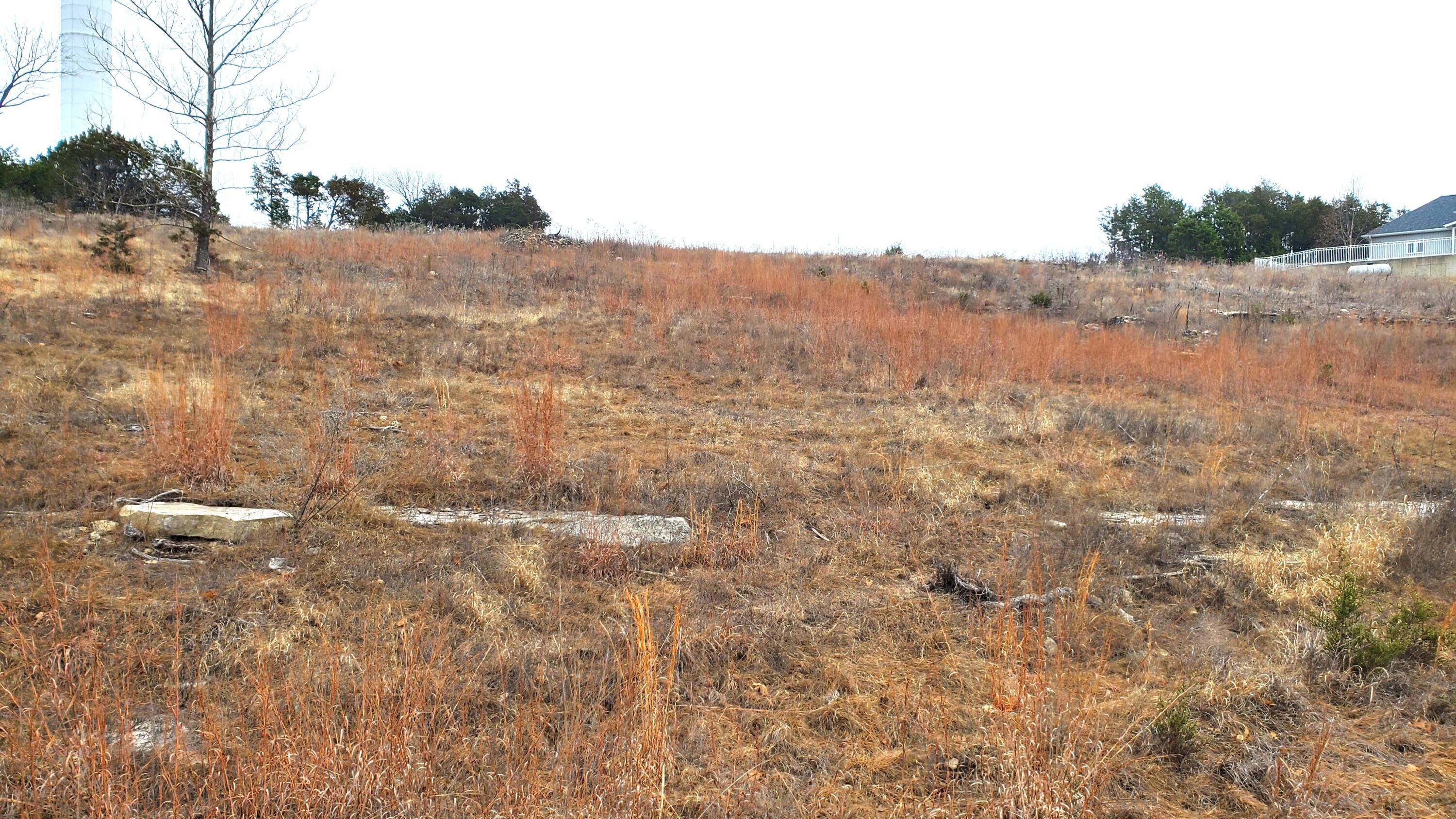 000 Lot 253 Silver Sunset Lane, Kimberling City, MO 65686