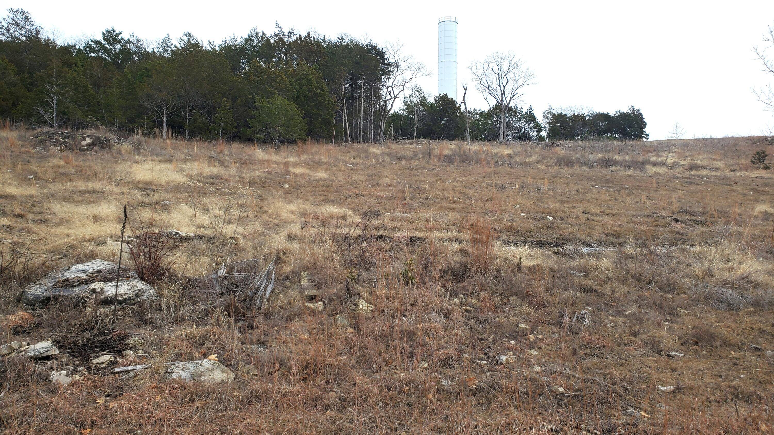 000 Lot 254 Silver Sunset Lane, Kimberling City, MO 65686