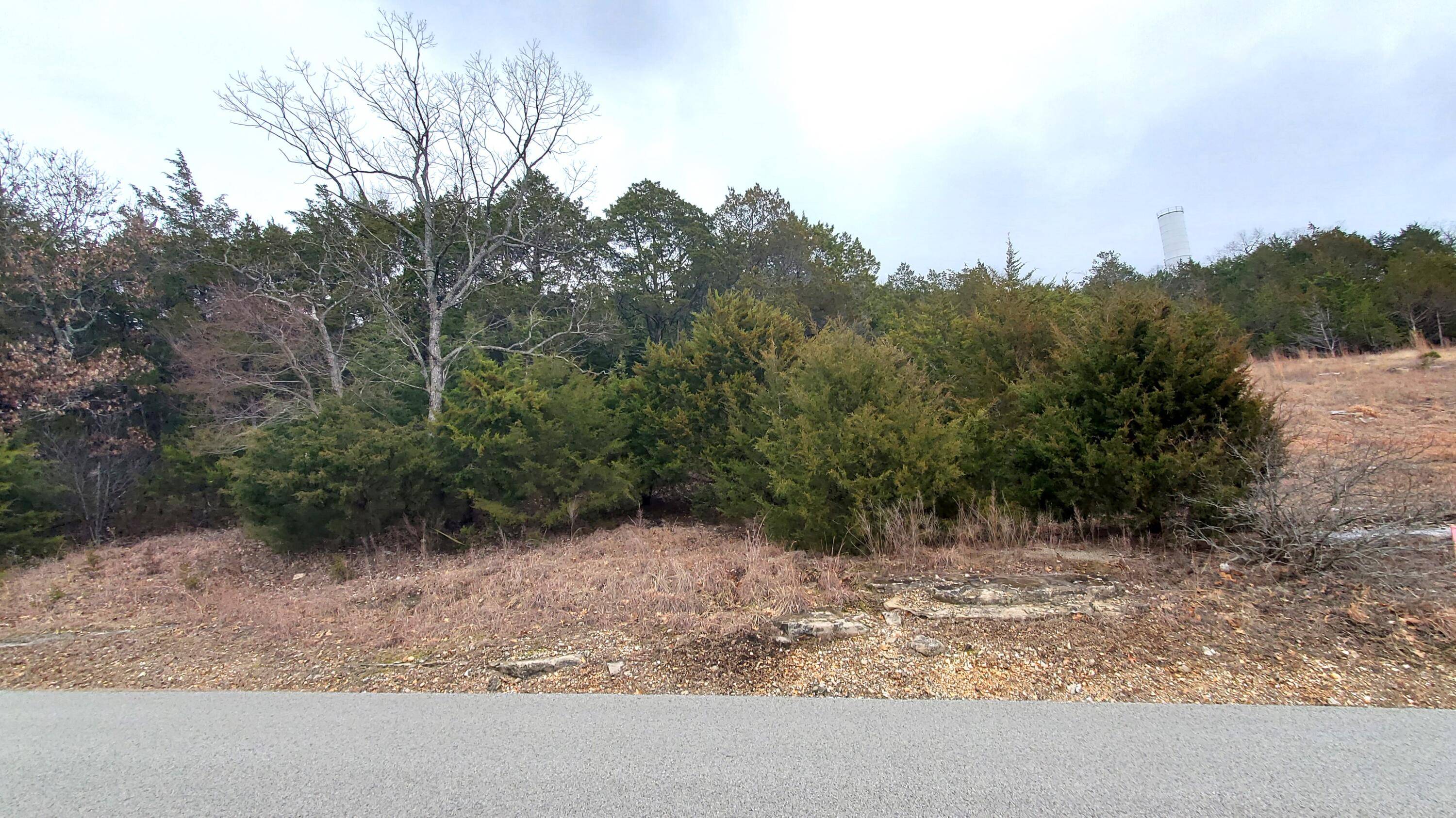 000 Lot 256 Silver Sunset Lane, Kimberling City, MO 65686