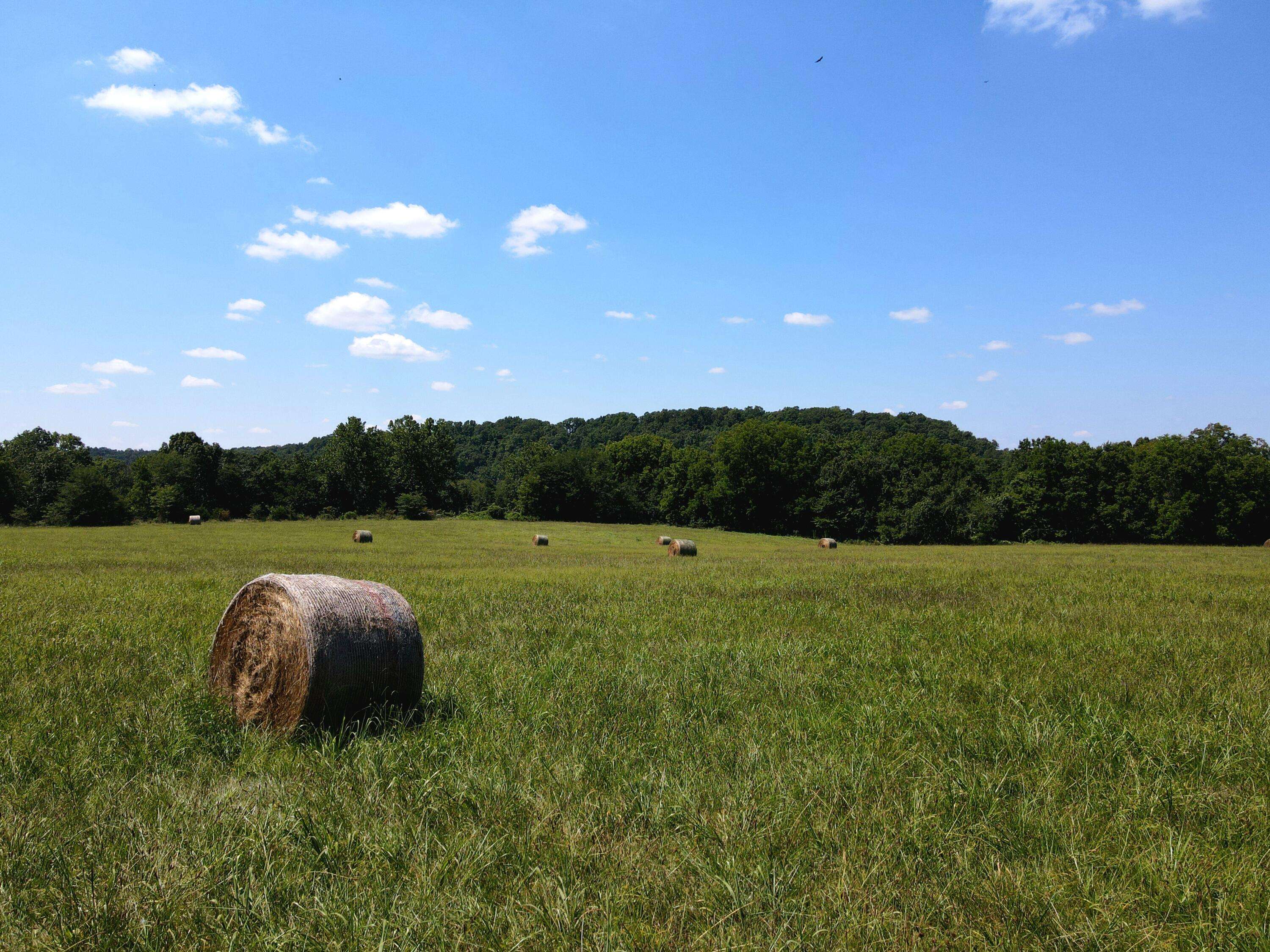 000 State Highway Kk, Fordland, MO 65652