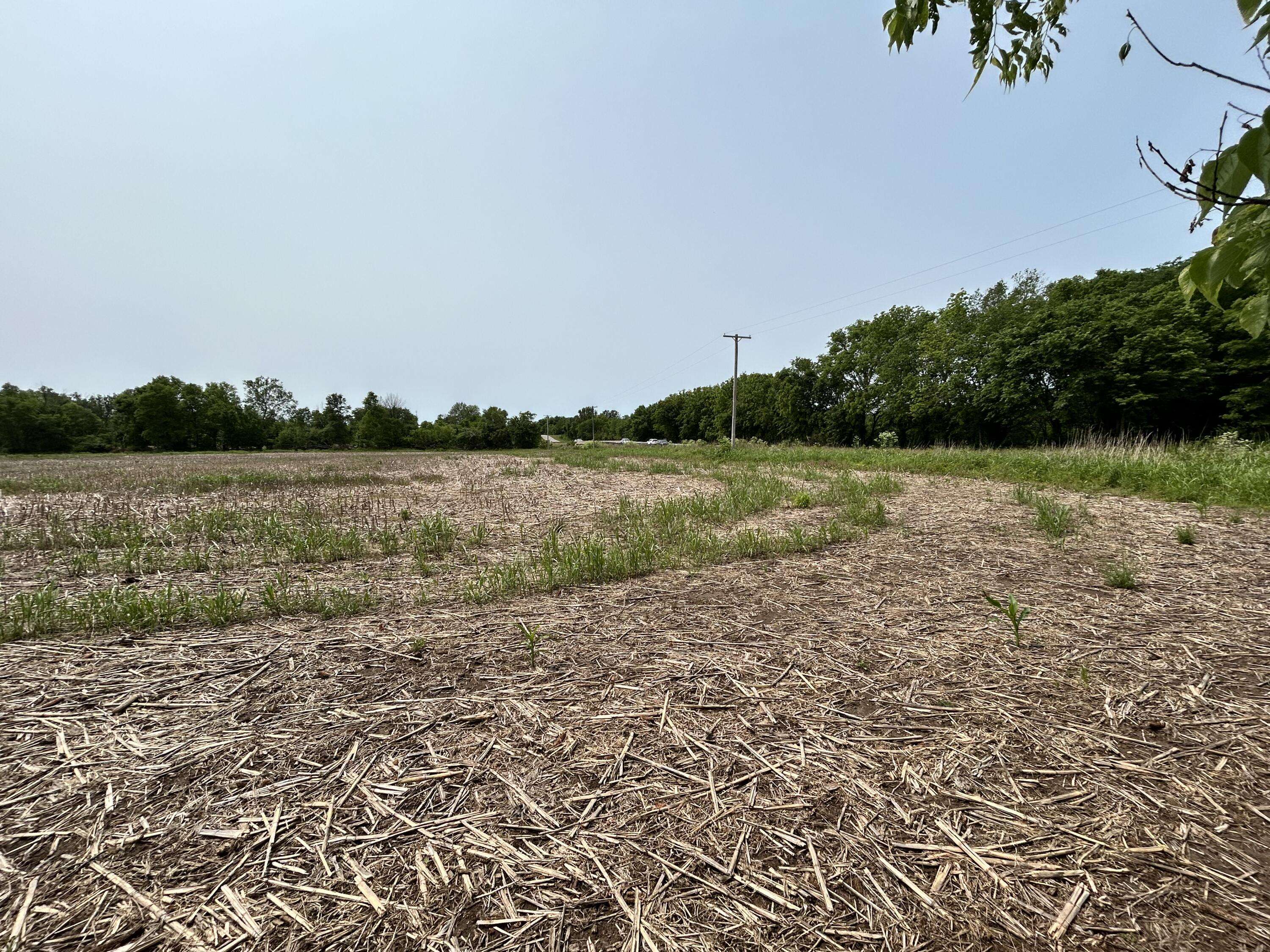 Lot 1 S State Highway T, Springfield, MO 65802