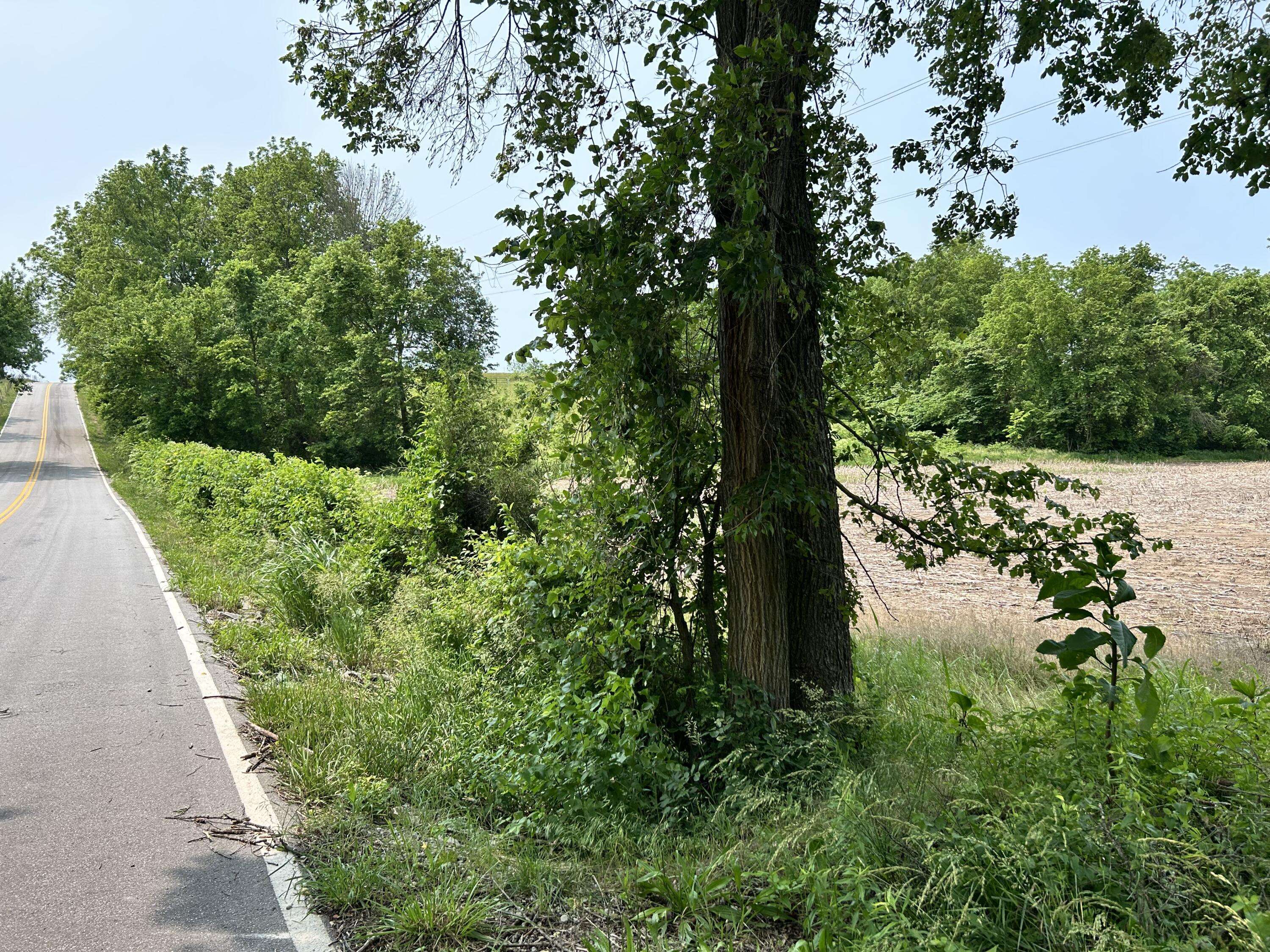 Lot 3 S Farm Road 83, Springfield, MO 65802