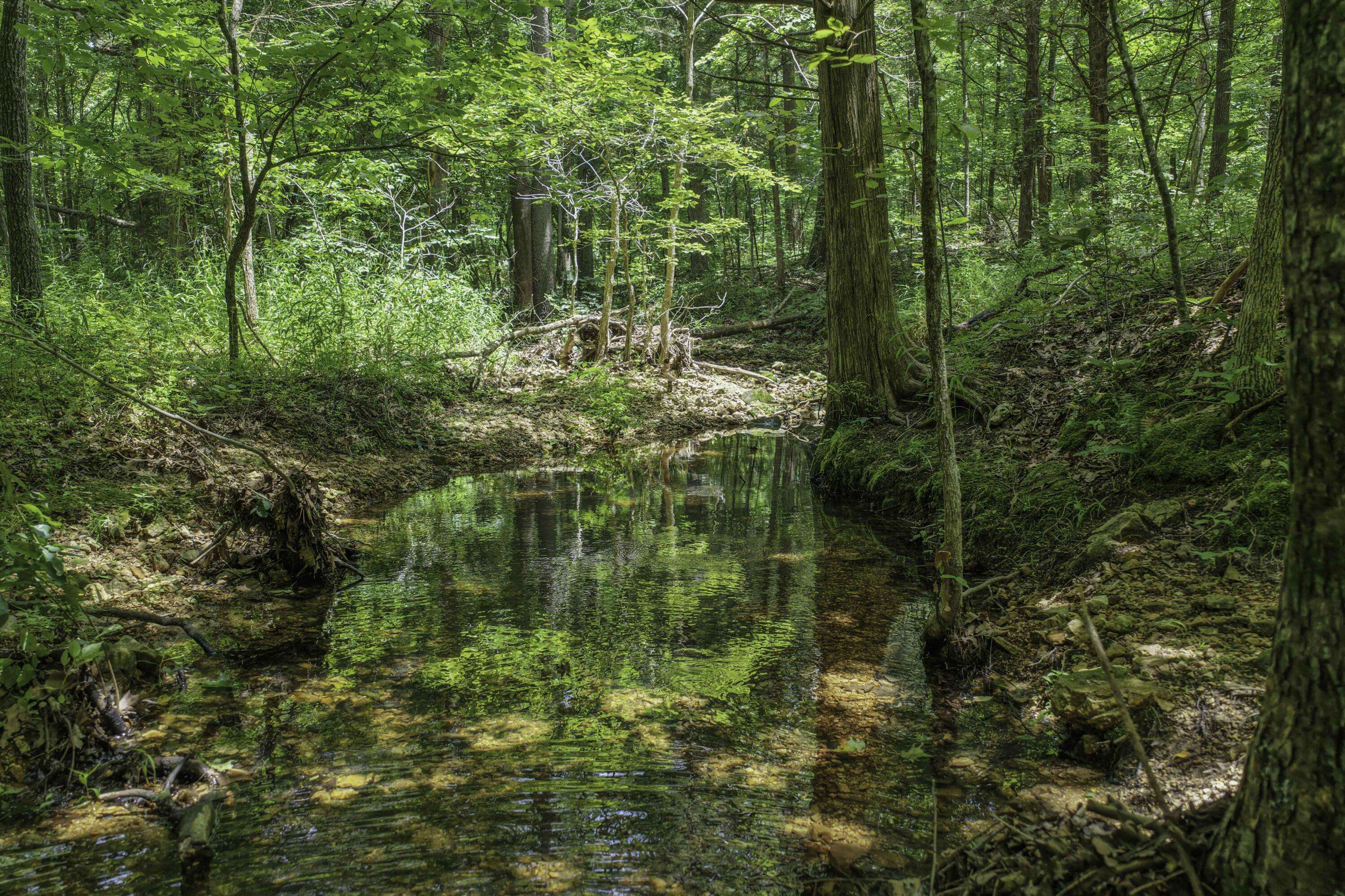 2789 Highway Jj, Squires, MO 65755