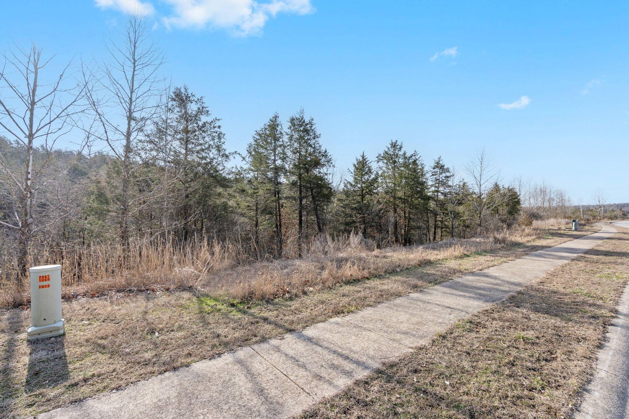 142/143 Country Ridge WAY, Branson, MO 65616