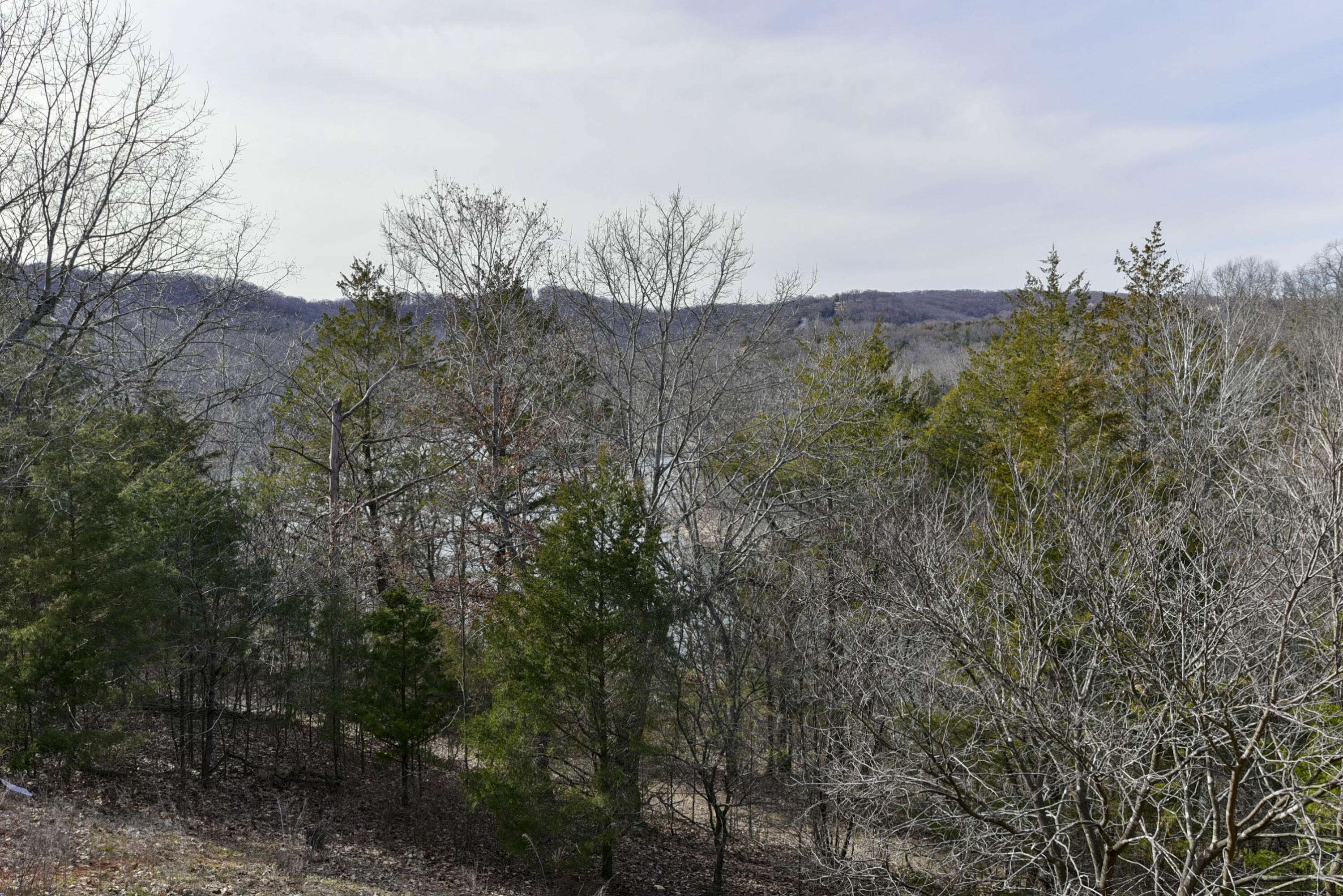 5 Woodpecker LN #2, Branson, MO 65616