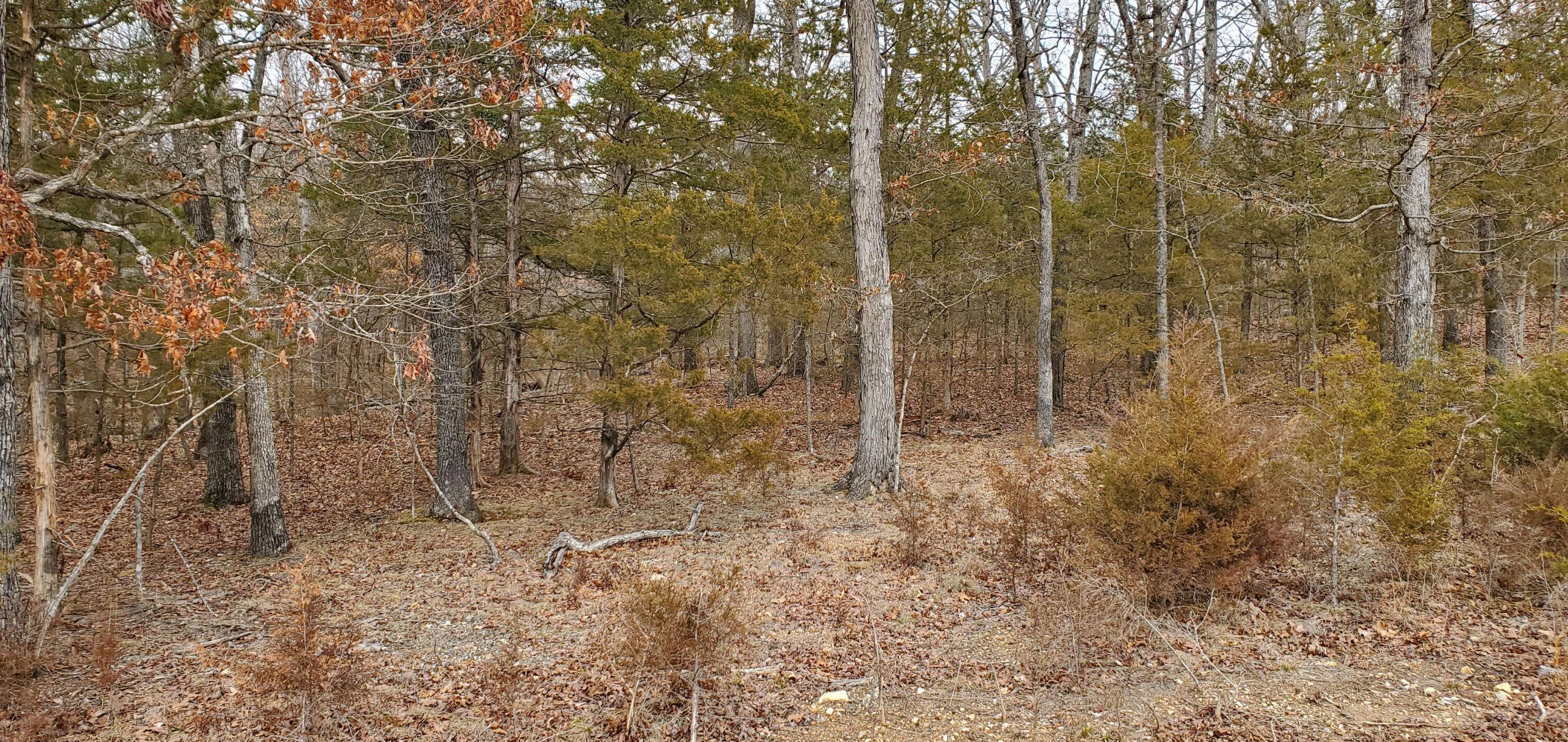 000 Lot 97 Summer Breeze LN, Kimberling City, MO 65686