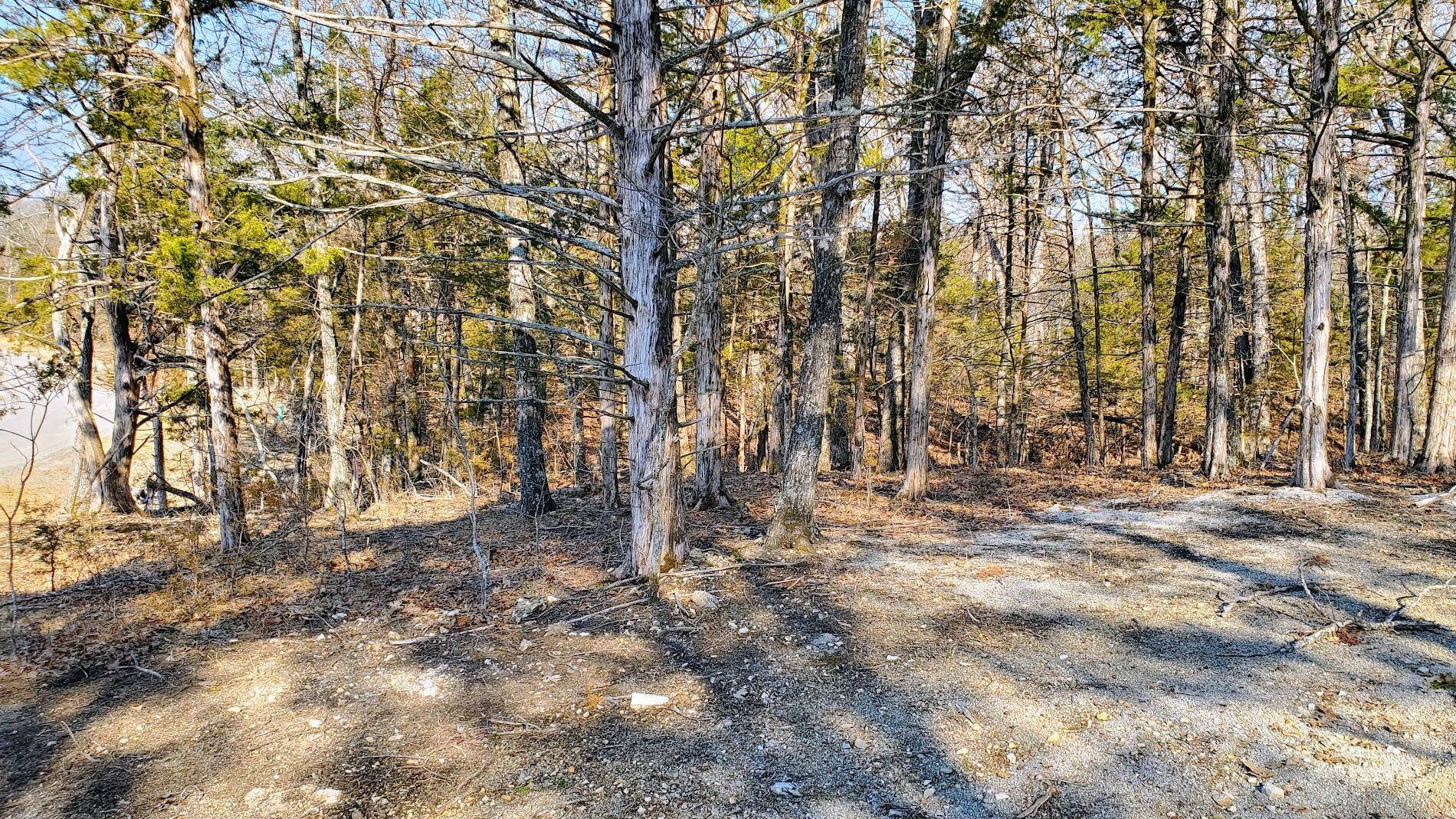 000 Lot 95 Summer Breeze, Kimberling City, MO 65686