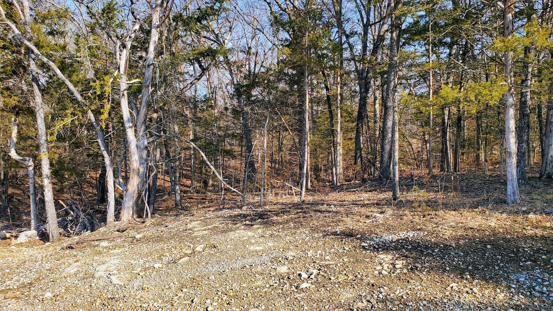 000 Lot 95 Summer Breeze, Kimberling City, MO 65686