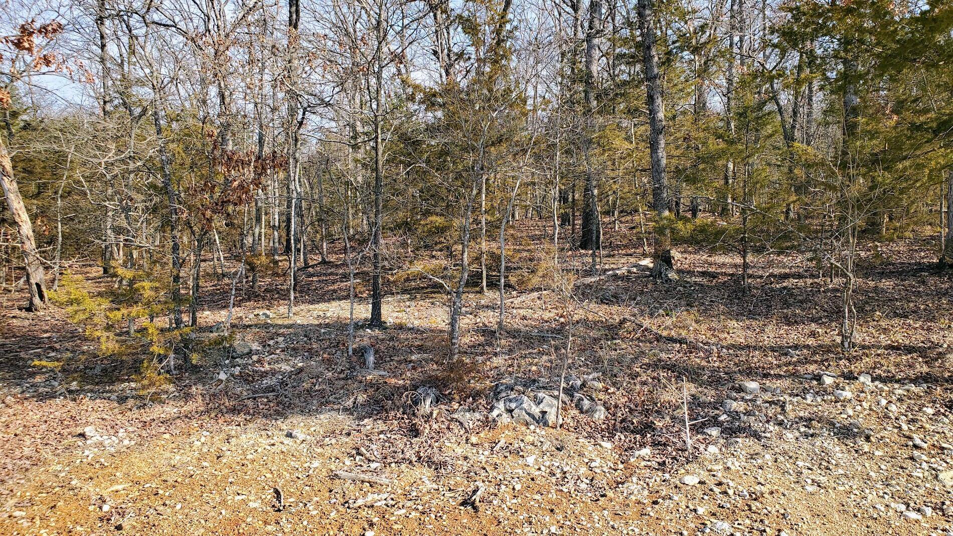 000 Lot 98 Summer Breeze LN, Kimberling City, MO 65686