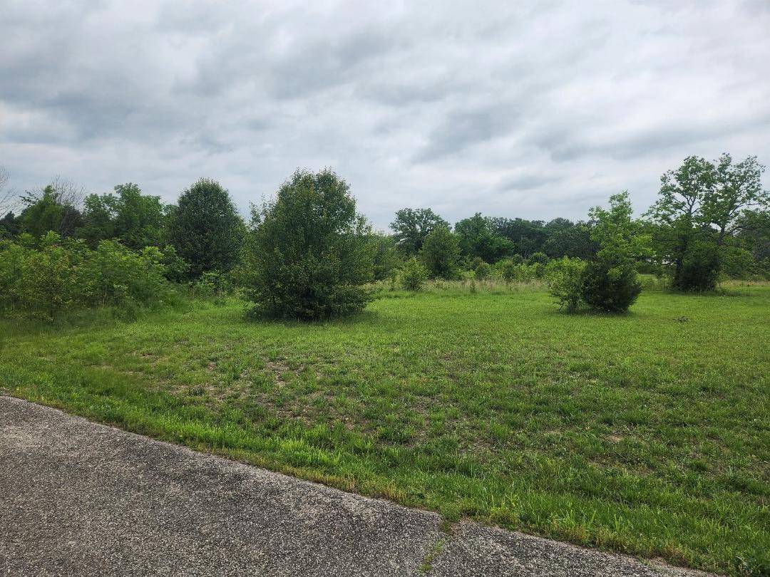 Lot 9 Country Music Ln, Galena, MO 65656