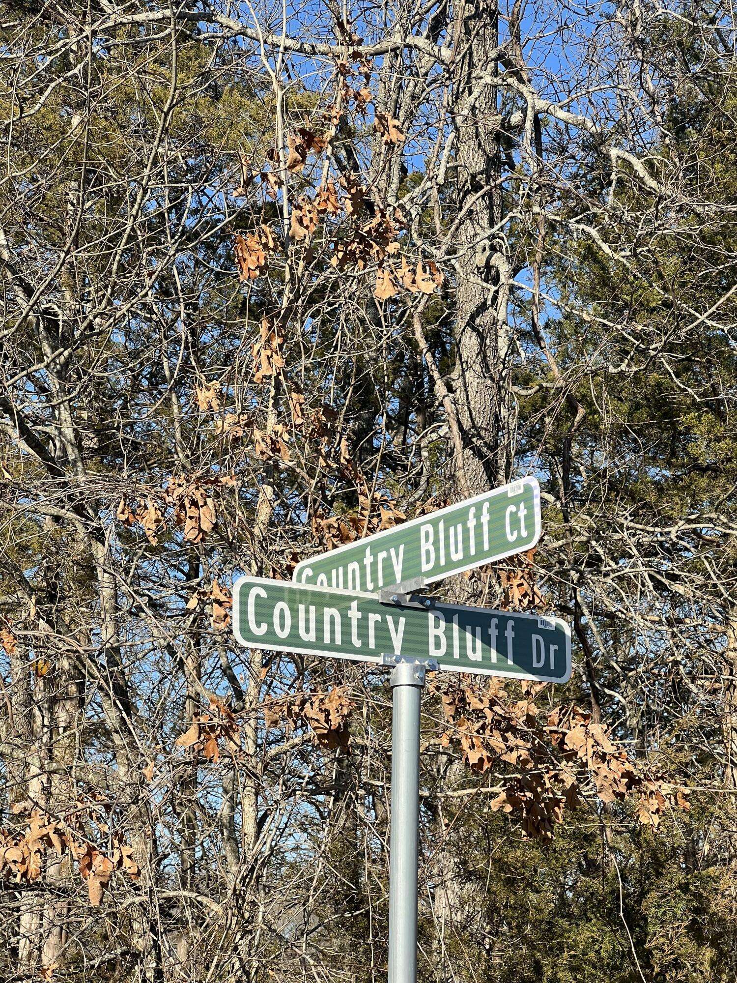 000 Country Bluff DR, Branson, MO 65616