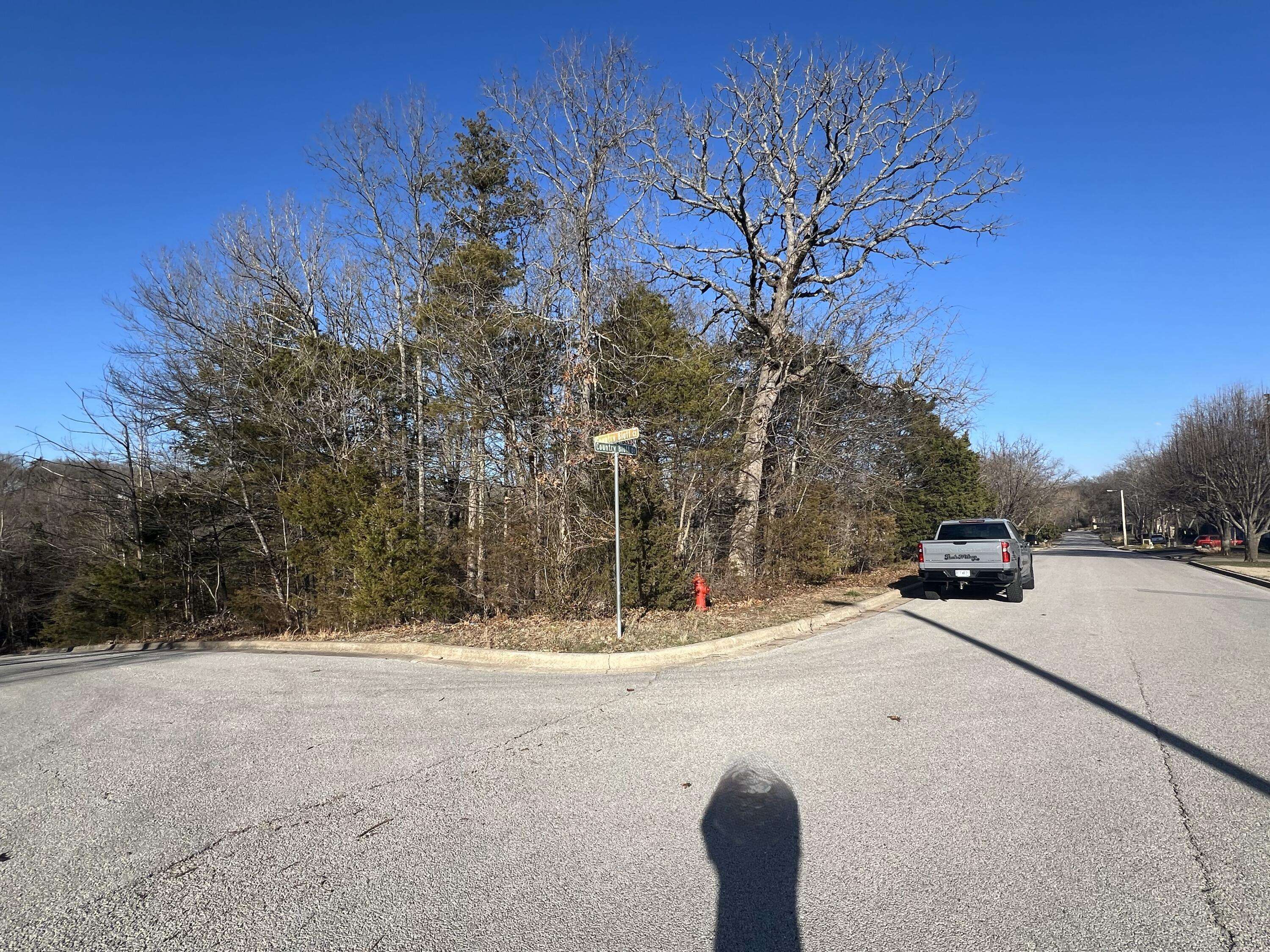 000 Country Bluff DR, Branson, MO 65616
