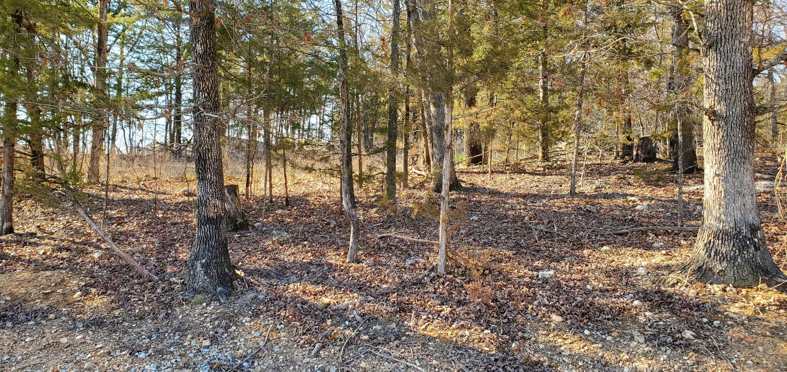 000 Lot 101 Summer Breeze LN, Kimberling City, MO 65686