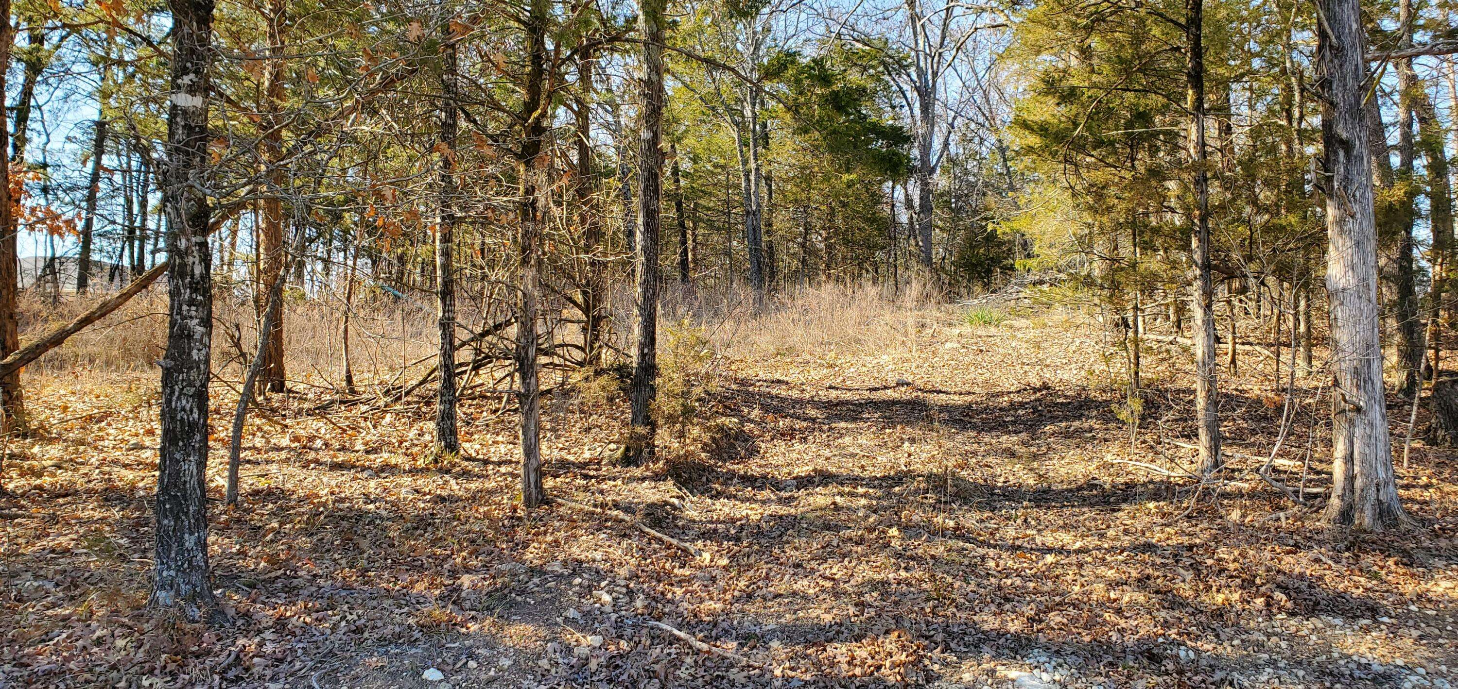 000 Lot 101 Summer Breeze LN, Kimberling City, MO 65686