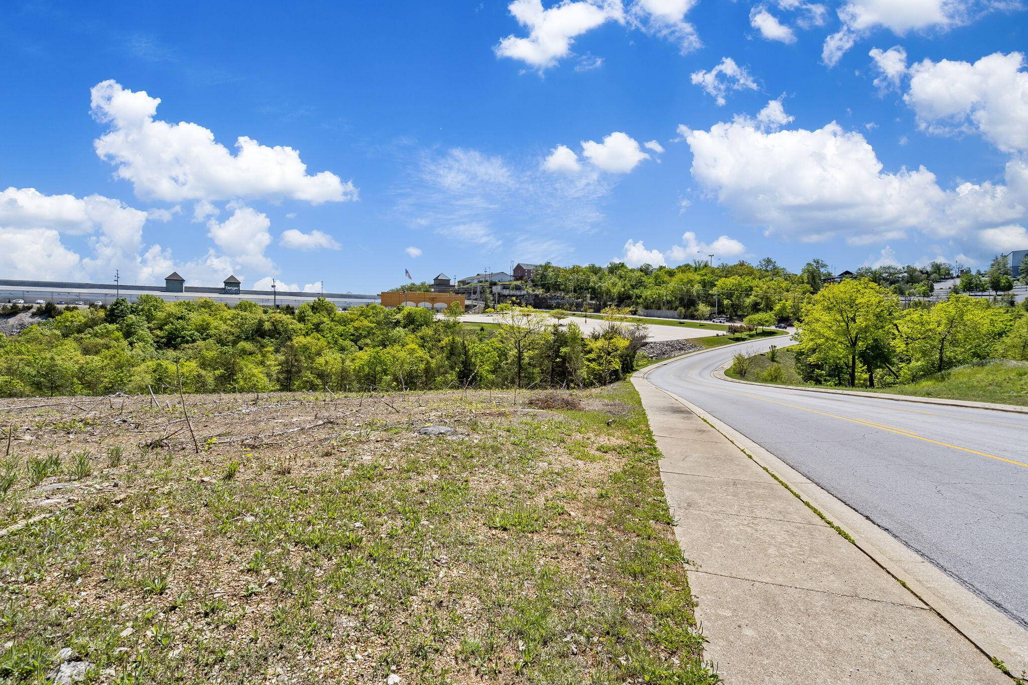 300 N Wildwood DR, Branson, MO 65616