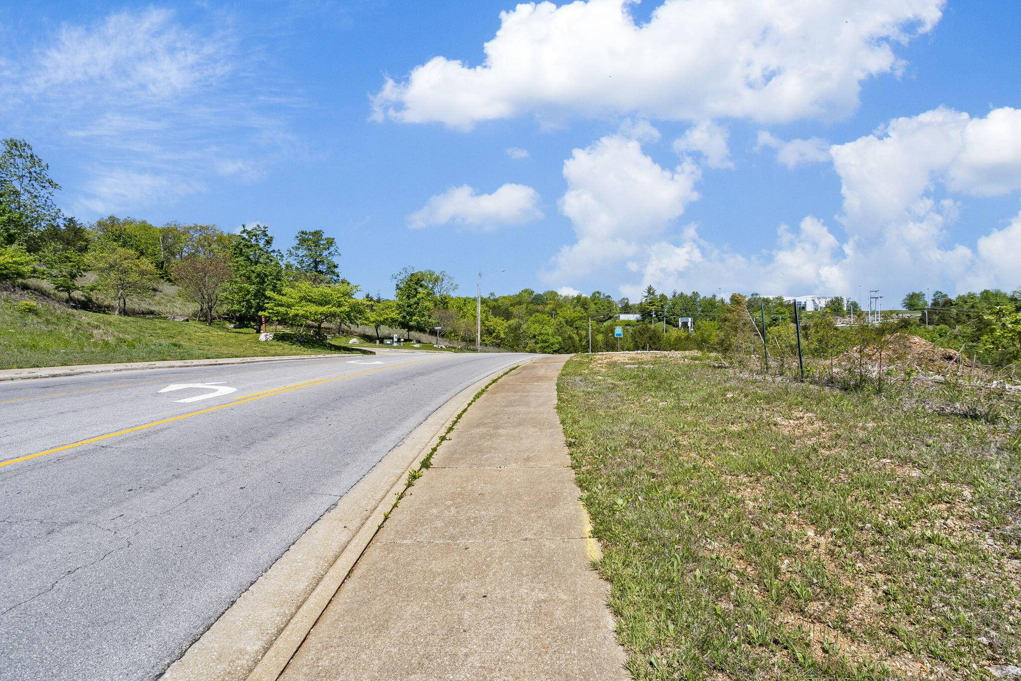 300 N Wildwood DR, Branson, MO 65616
