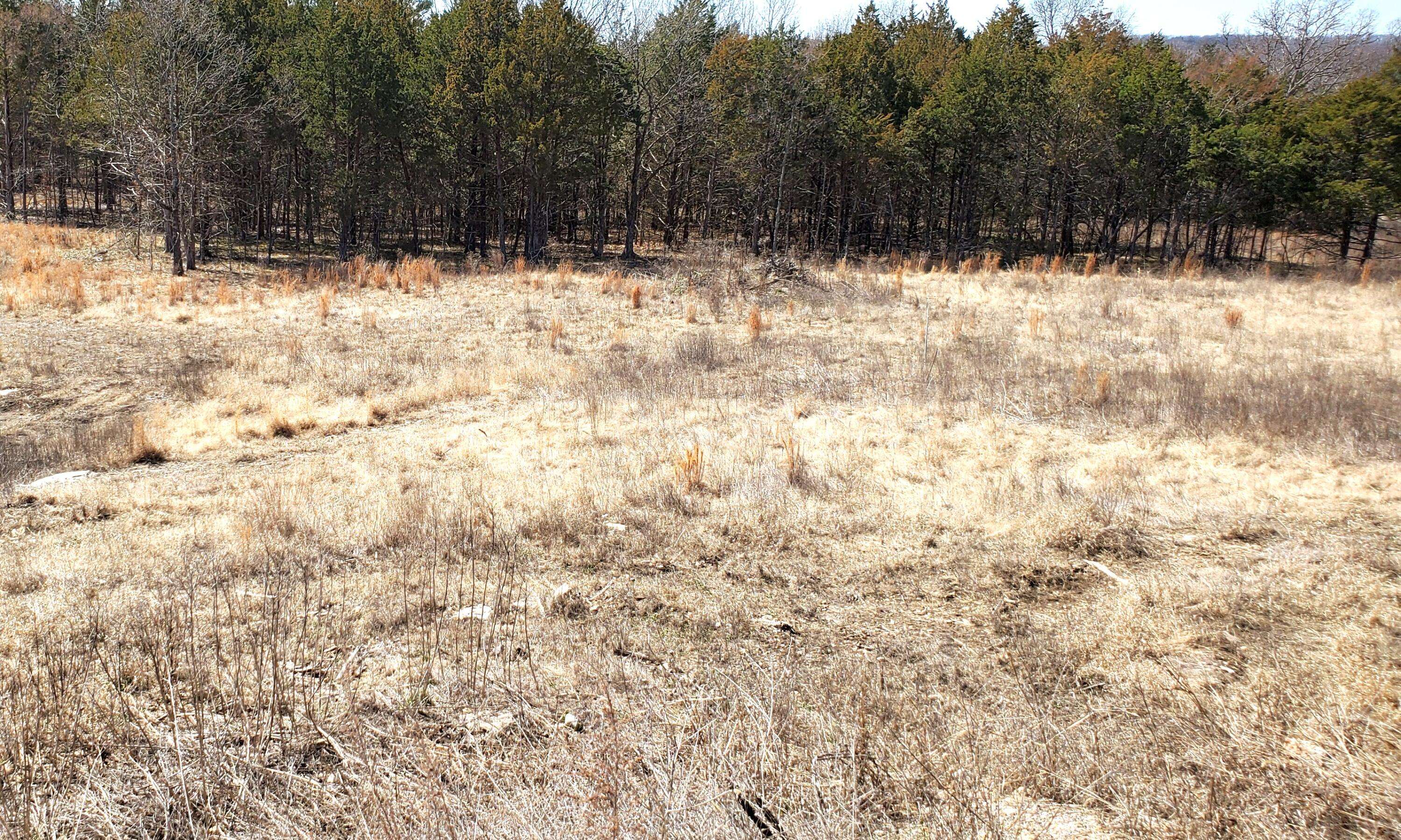 000 Lot 188 Silver Sunset Lane, Kimberling City, MO 65686