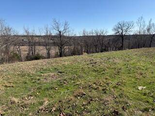 000 Tract 1 Sugar Fork RD, Goodman, MO 64843