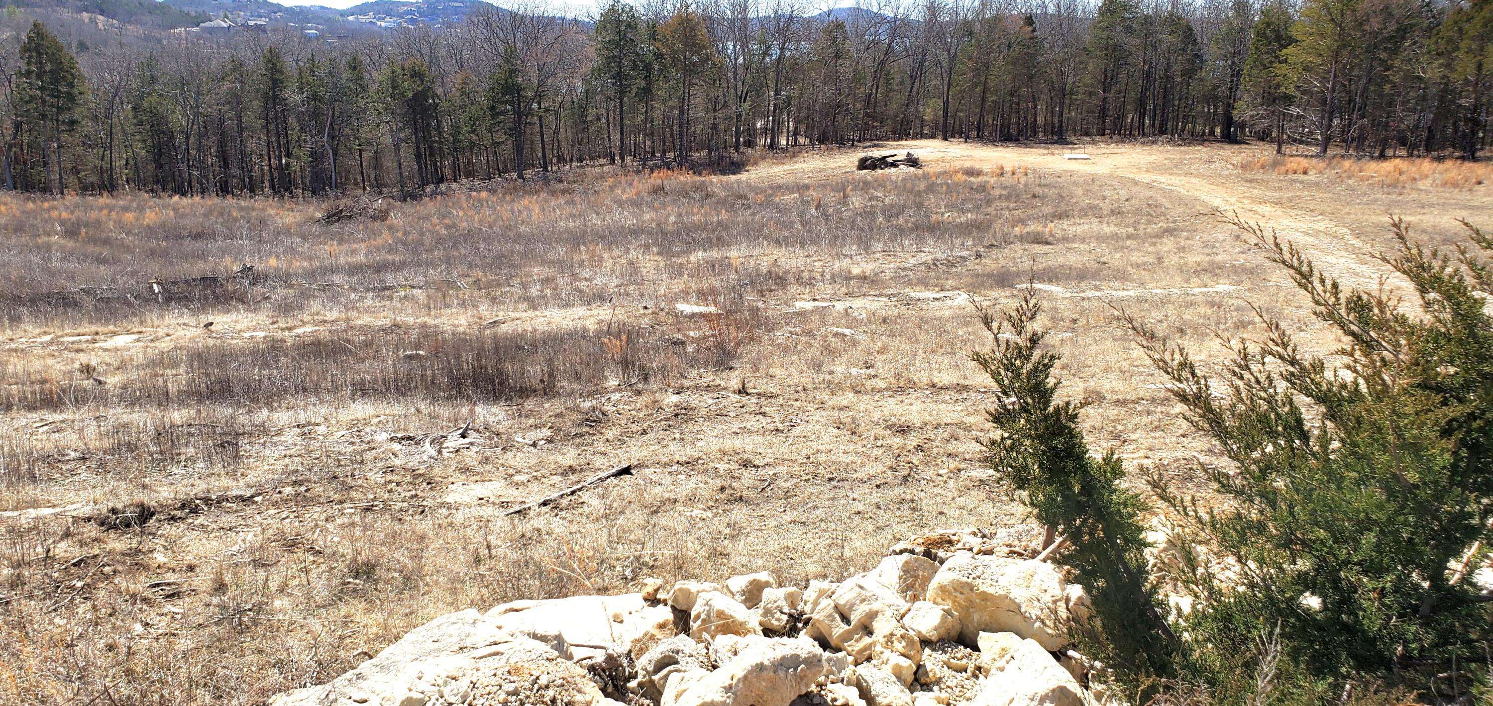 000 Lot 189 Silver Sunset Lane, Kimberling City, MO 65686