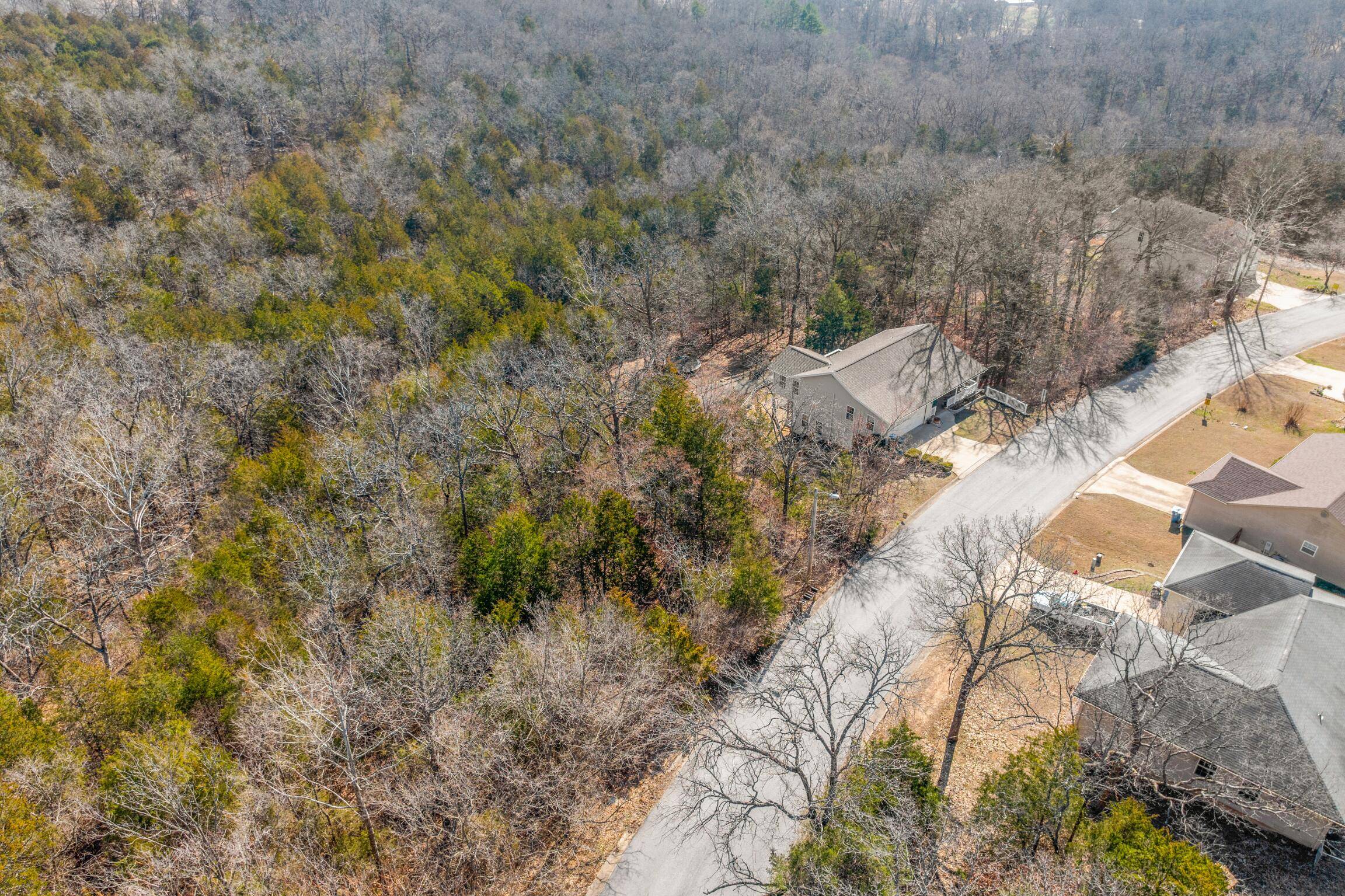 Lots 62 & 63 Eagle DR, Forsyth, MO 65653