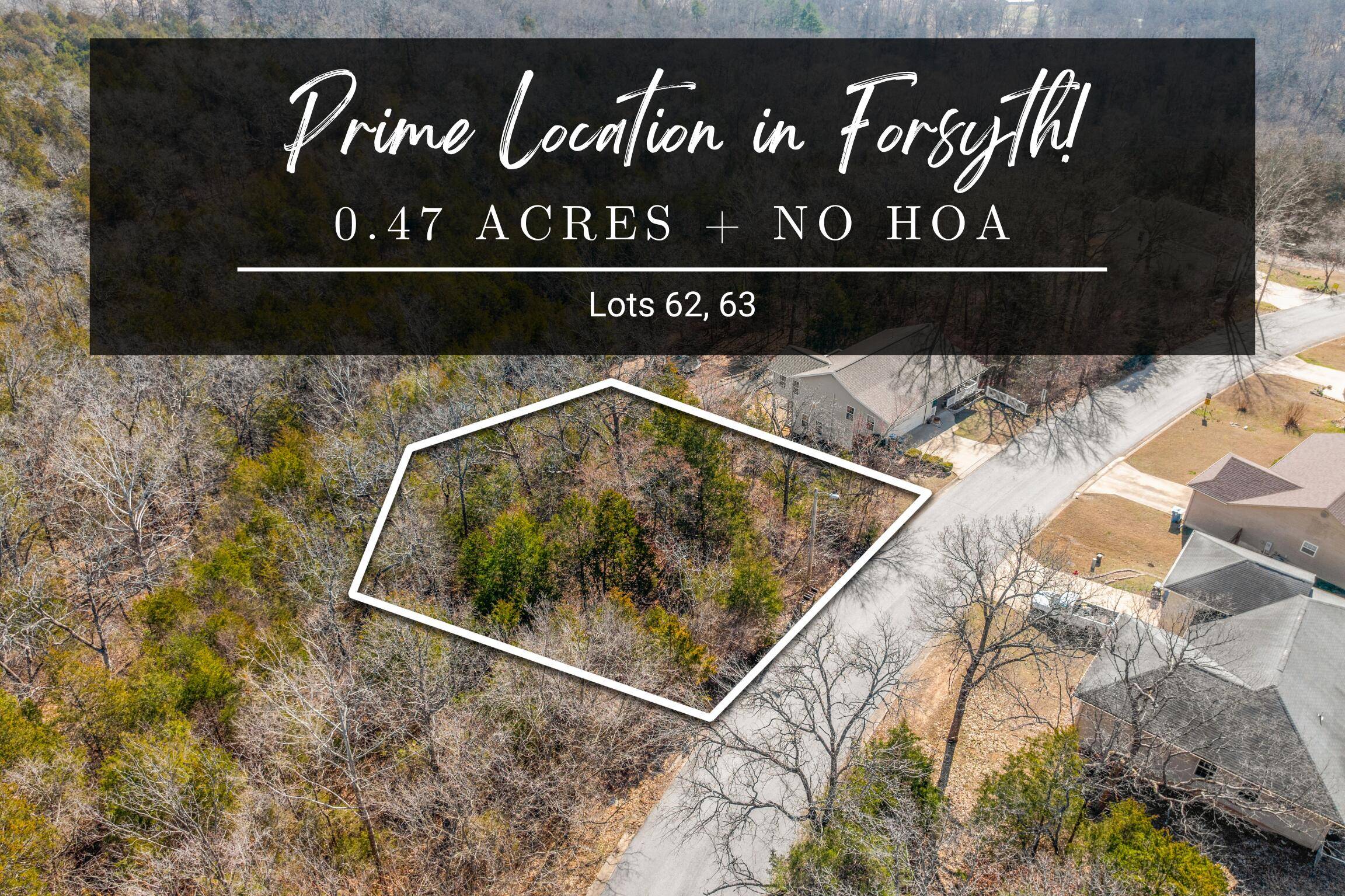 Lots 62 & 63 Eagle DR, Forsyth, MO 65653