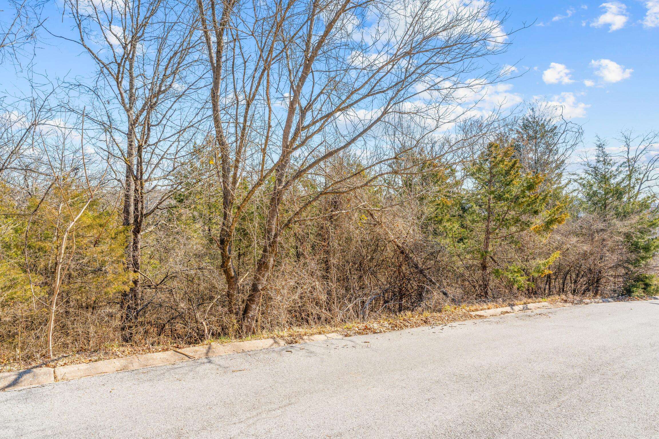 Lots 62 & 63 Eagle DR, Forsyth, MO 65653