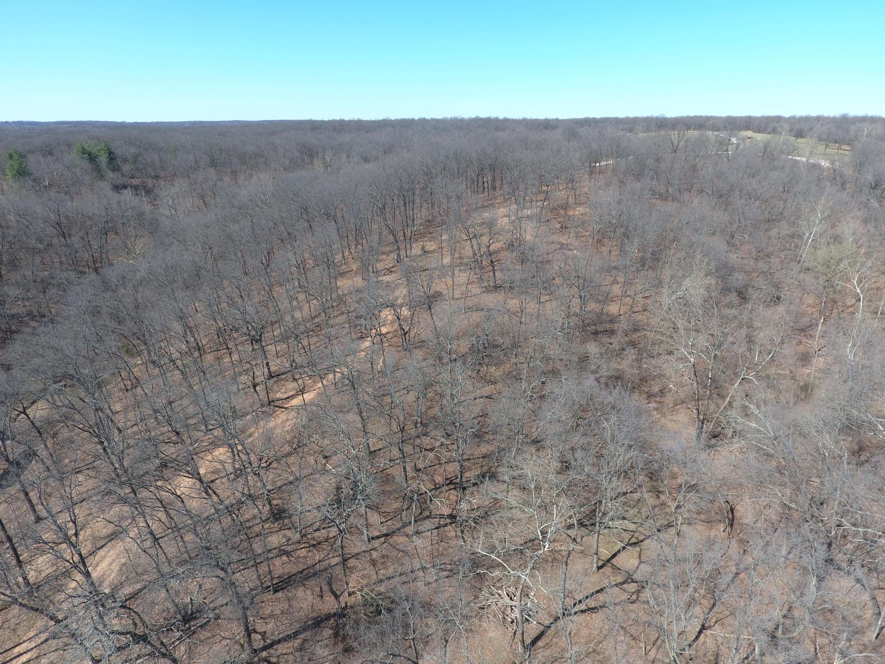000 Tract 9 Sugar Fork RD, Goodman, MO 64843