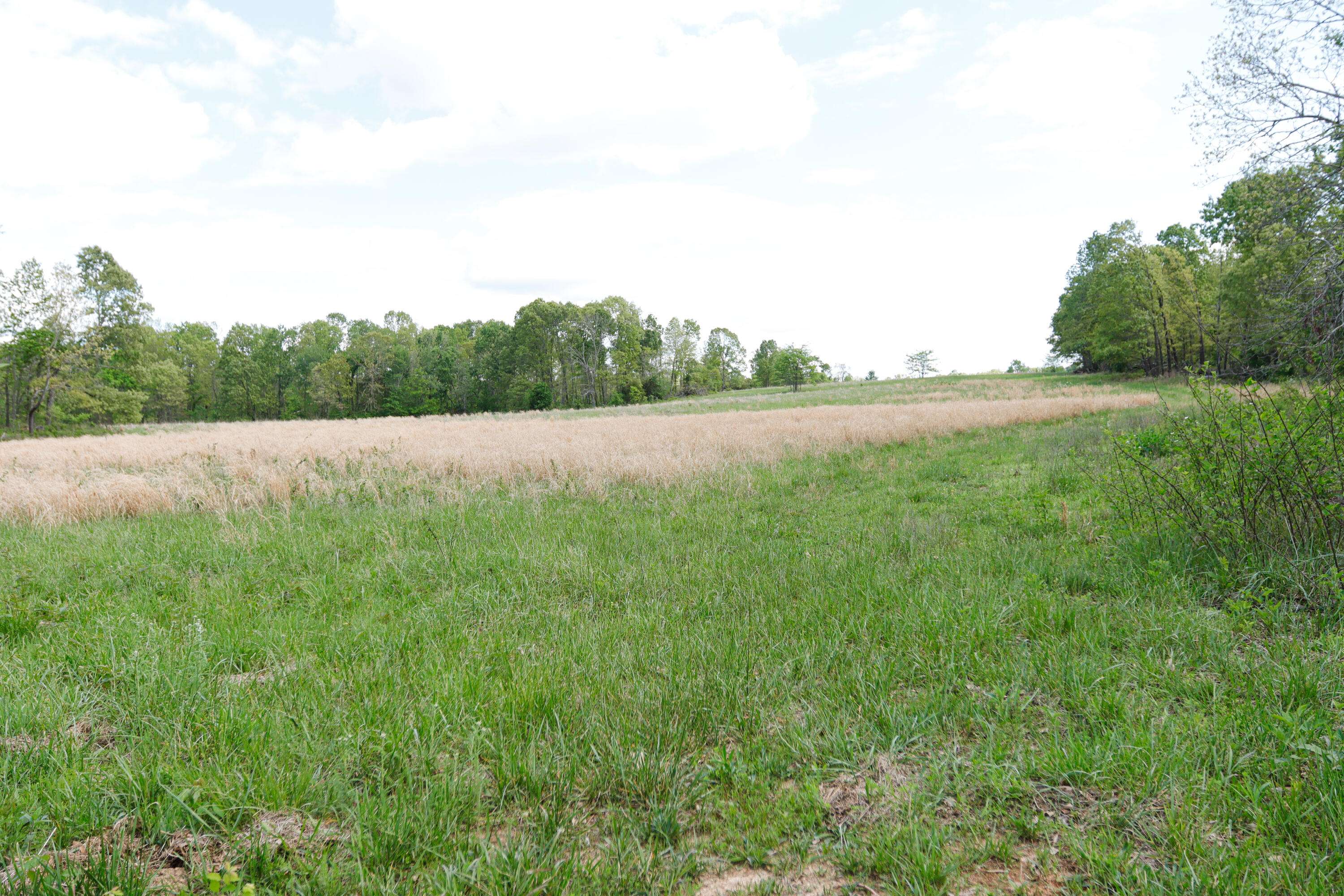 000 State Route M Highway HWY, Koshkonong, MO 65692