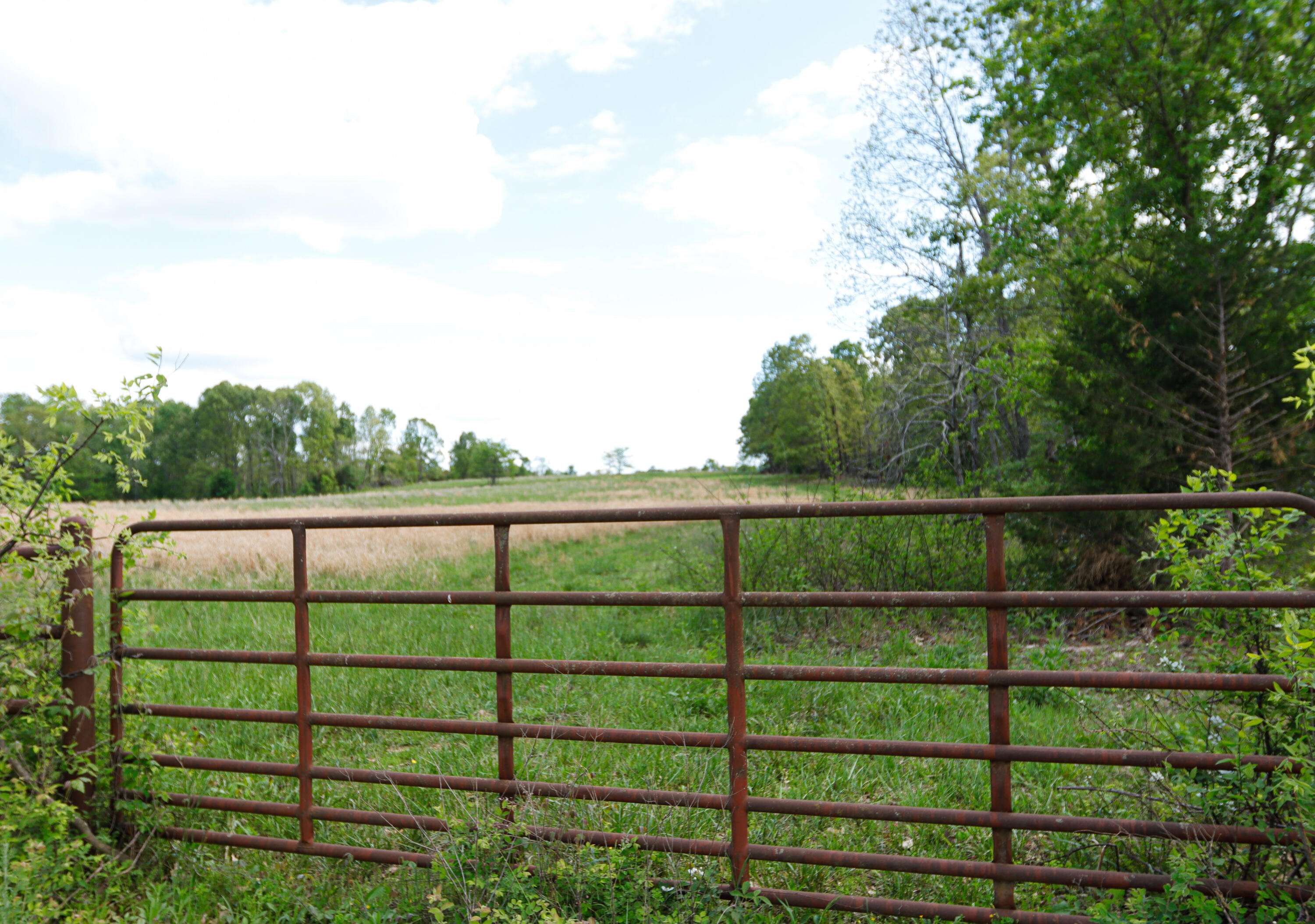000 State Route M Highway HWY, Koshkonong, MO 65692