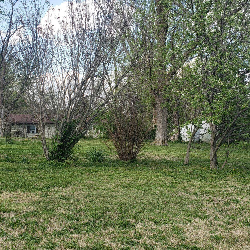 312 W 11th ST, Mountain Grove, MO 65711