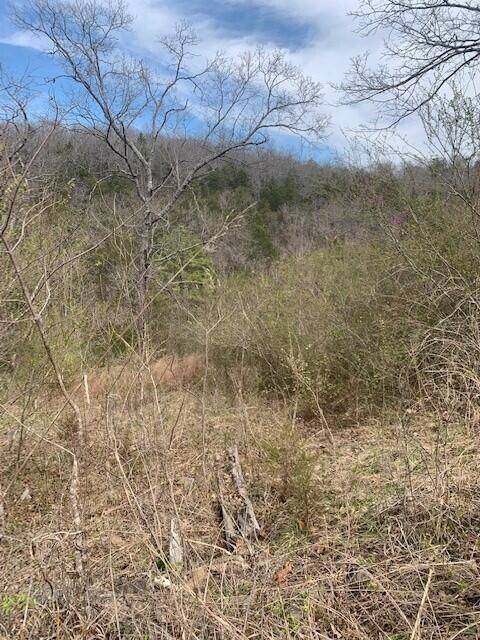 265 Lakeview Drive, Hollister, MO 65672