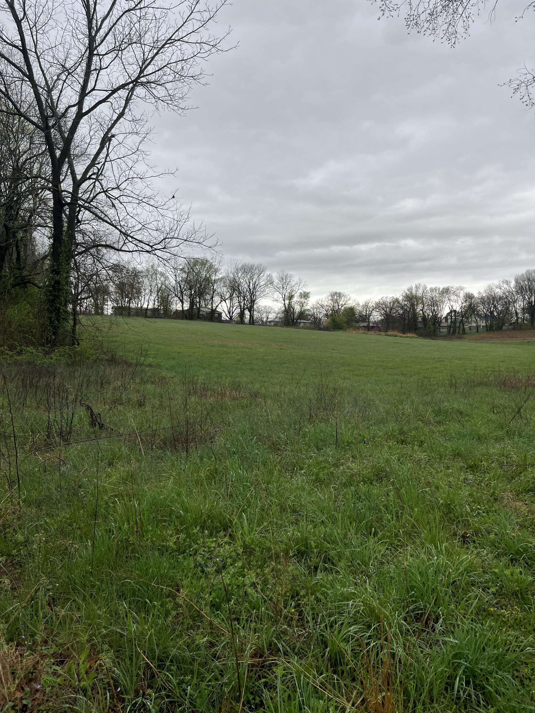 000 Luney DR, Cassville, MO 65625