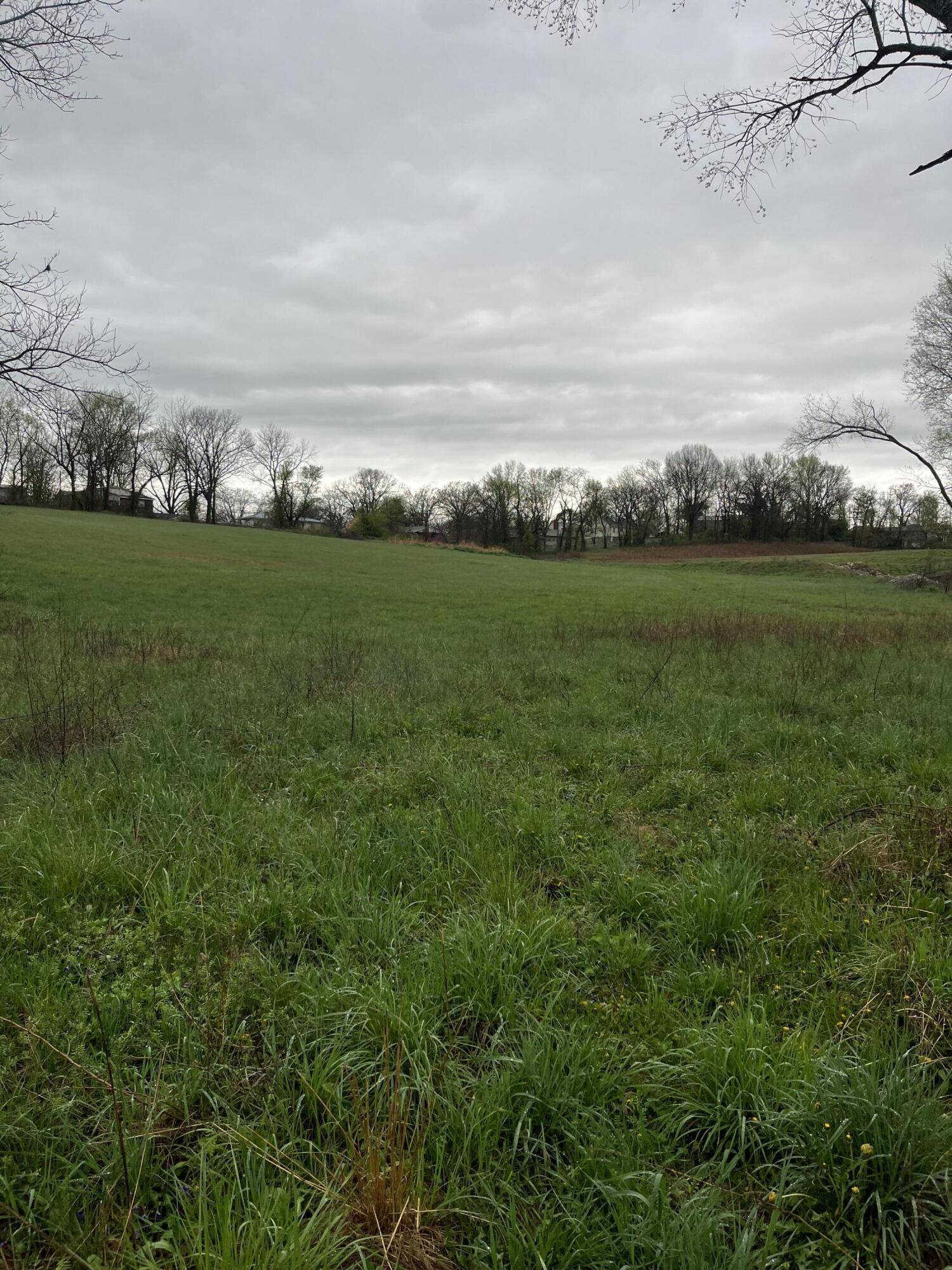 000 Luney DR, Cassville, MO 65625