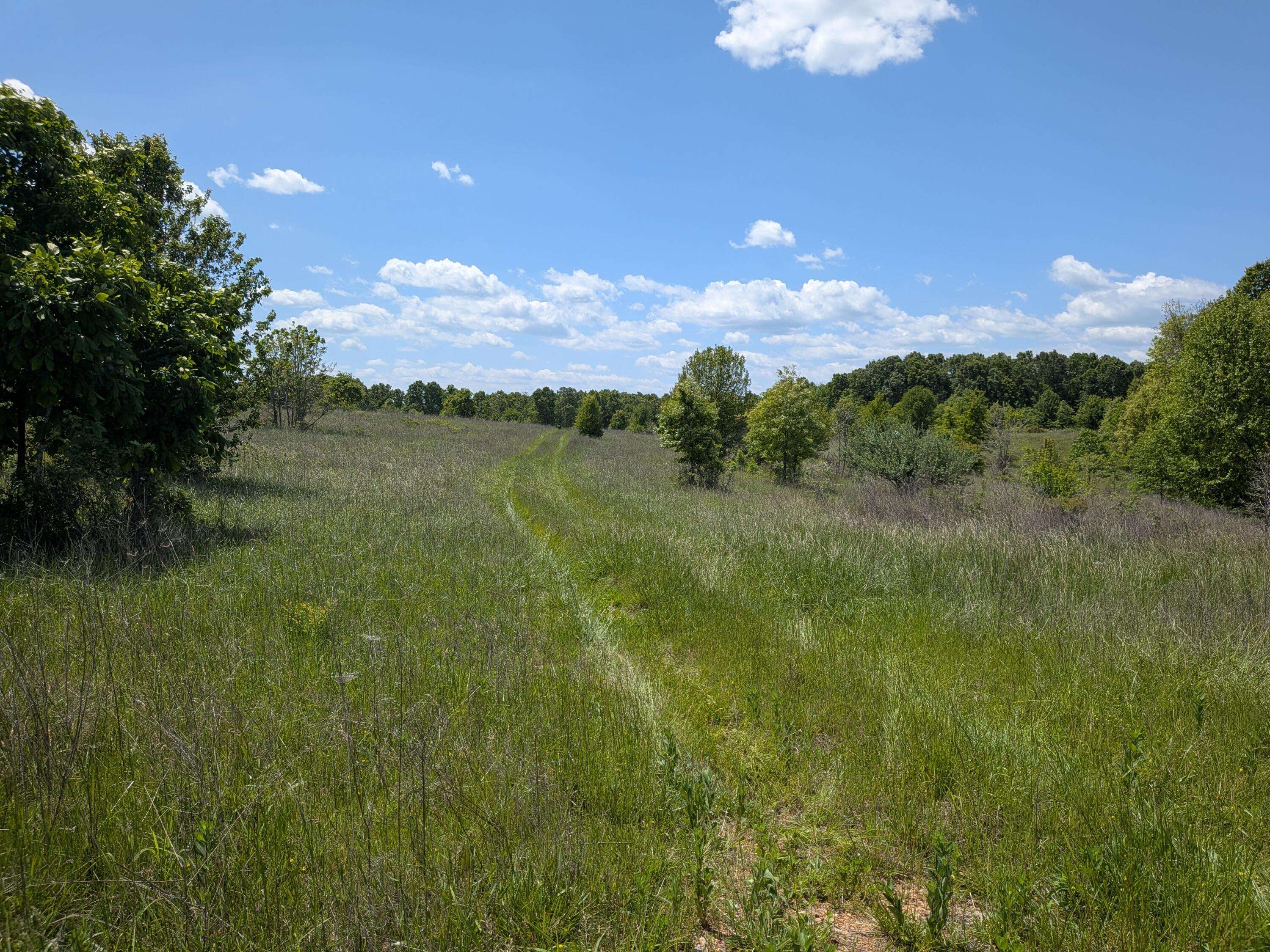 000 County Road 9610 State Rt Pp, Koshkonong, MO 65692