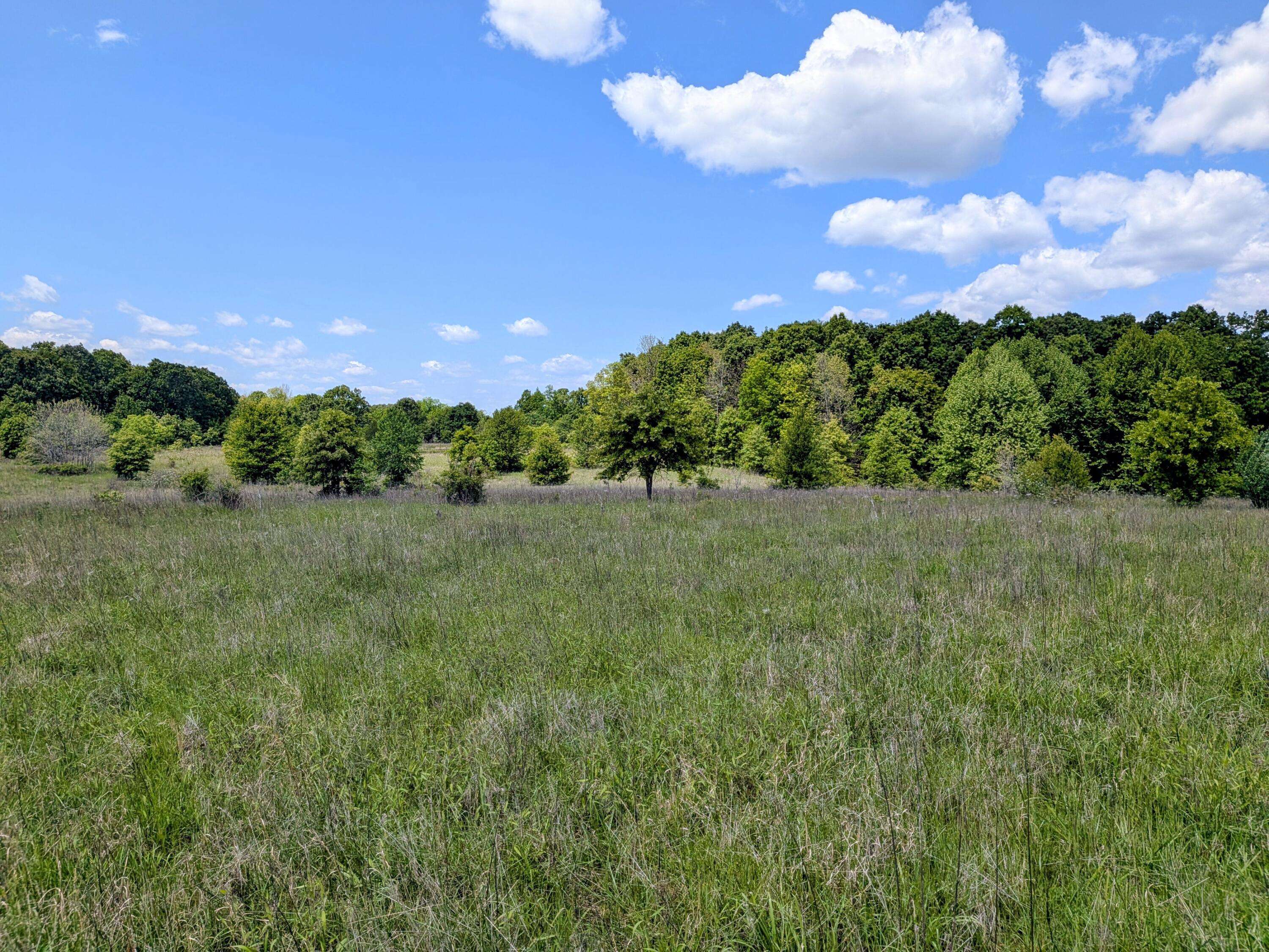 000 County Road 9610 State Rt Pp, Koshkonong, MO 65692