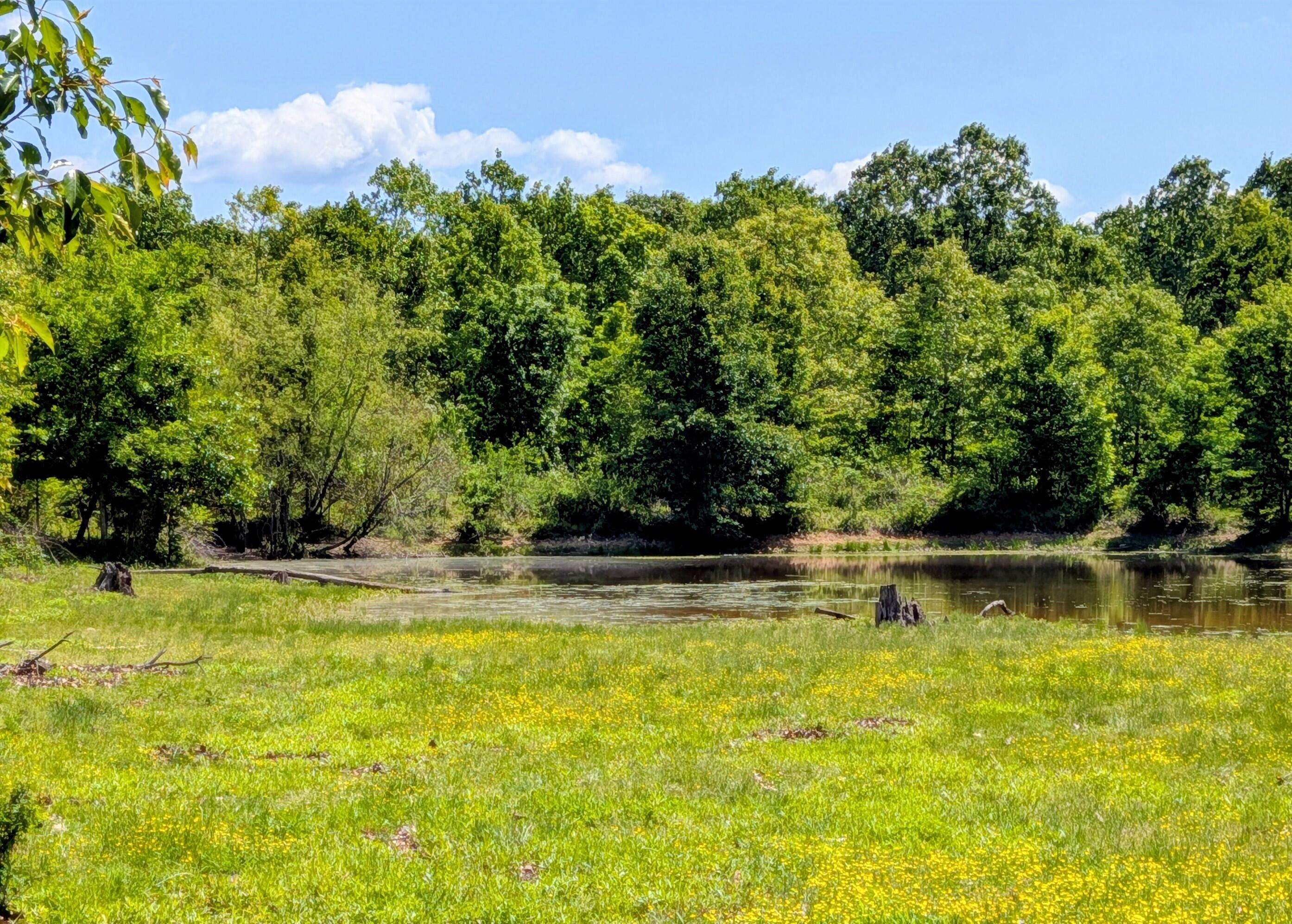 000 County Road 9160, Koshkonong, MO 65692