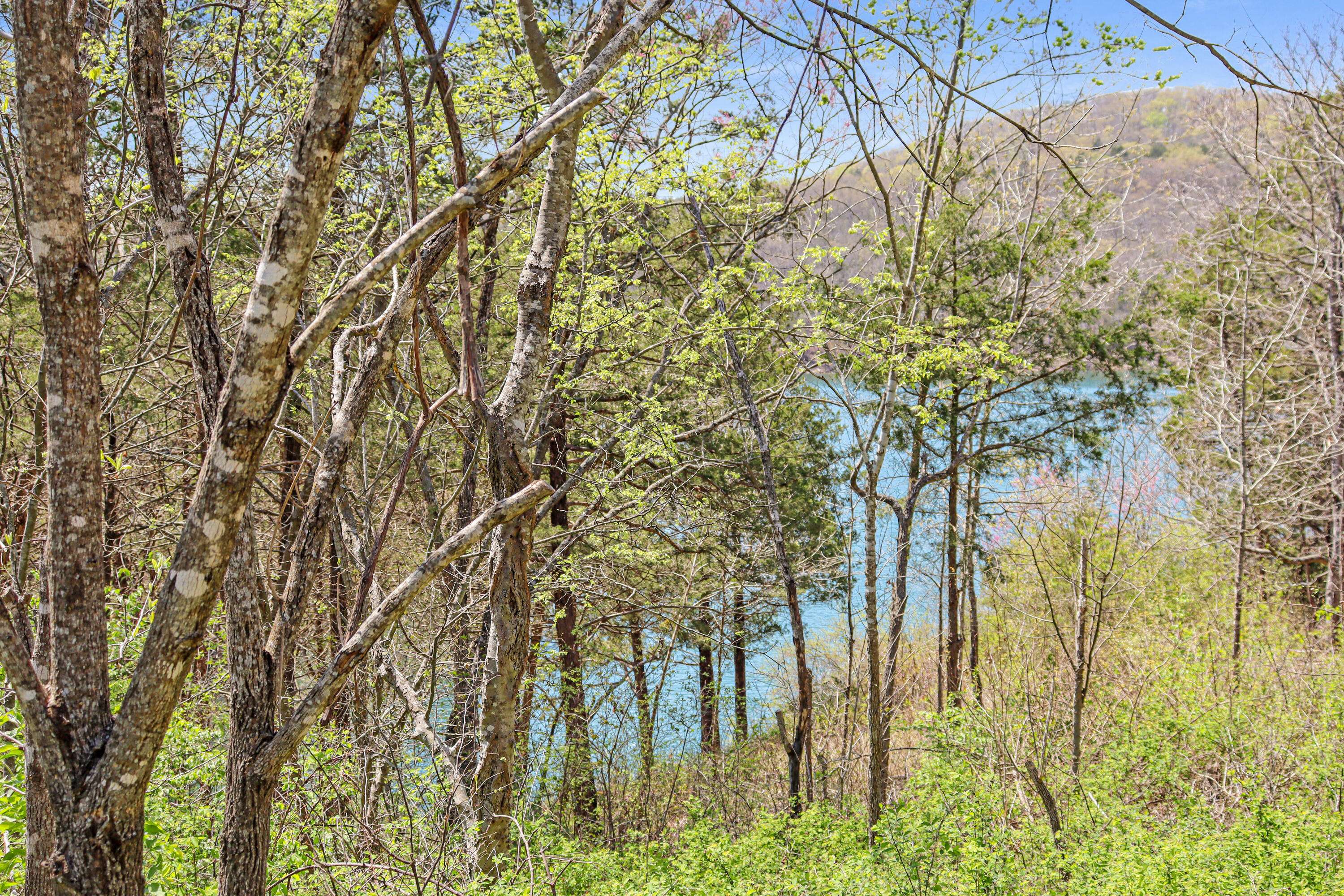 Tbd 789 Everest (Lot 4 & 5) RD, Galena, MO 65656