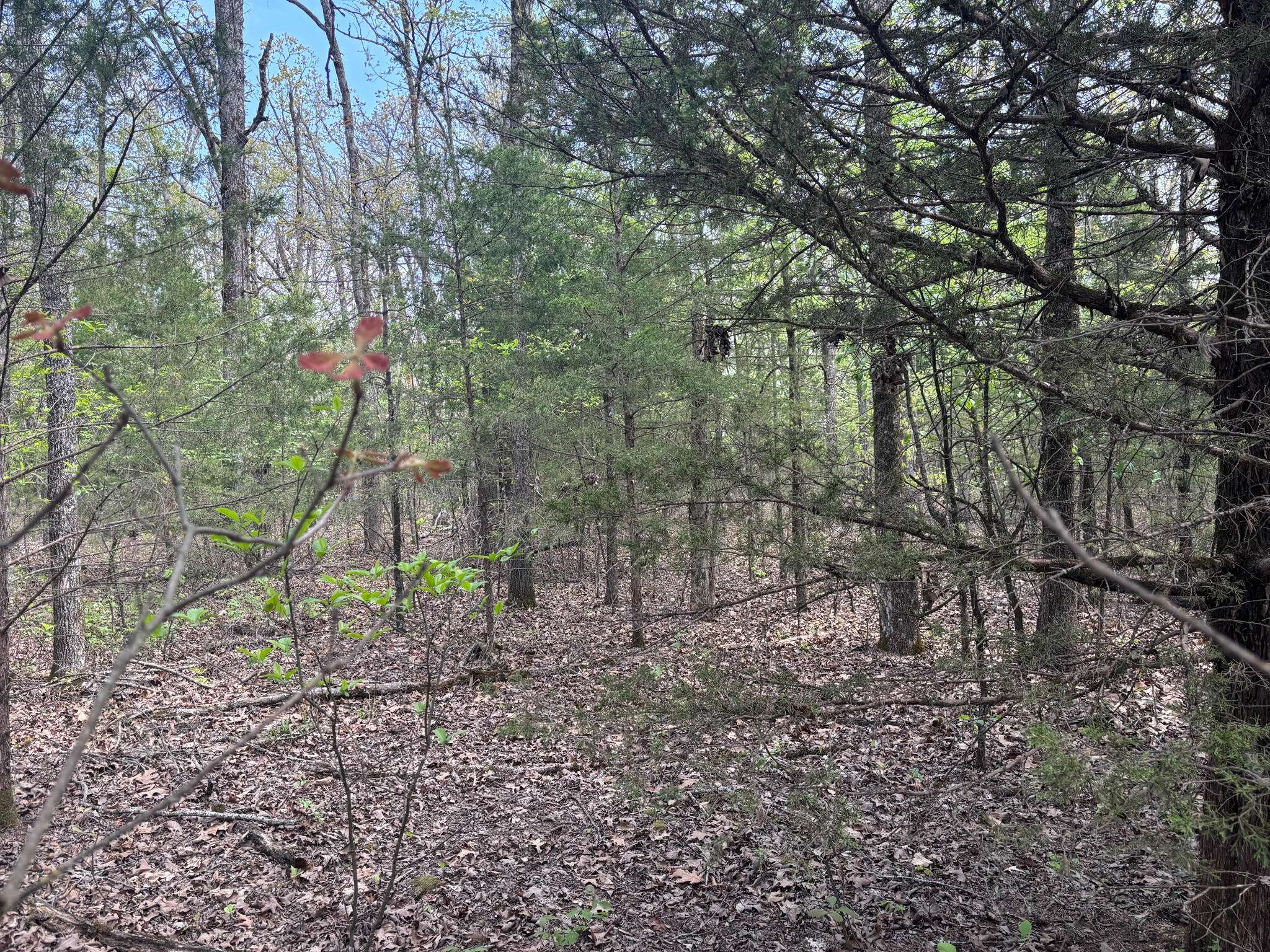 000 County Road 644, Theodosia, MO 65761