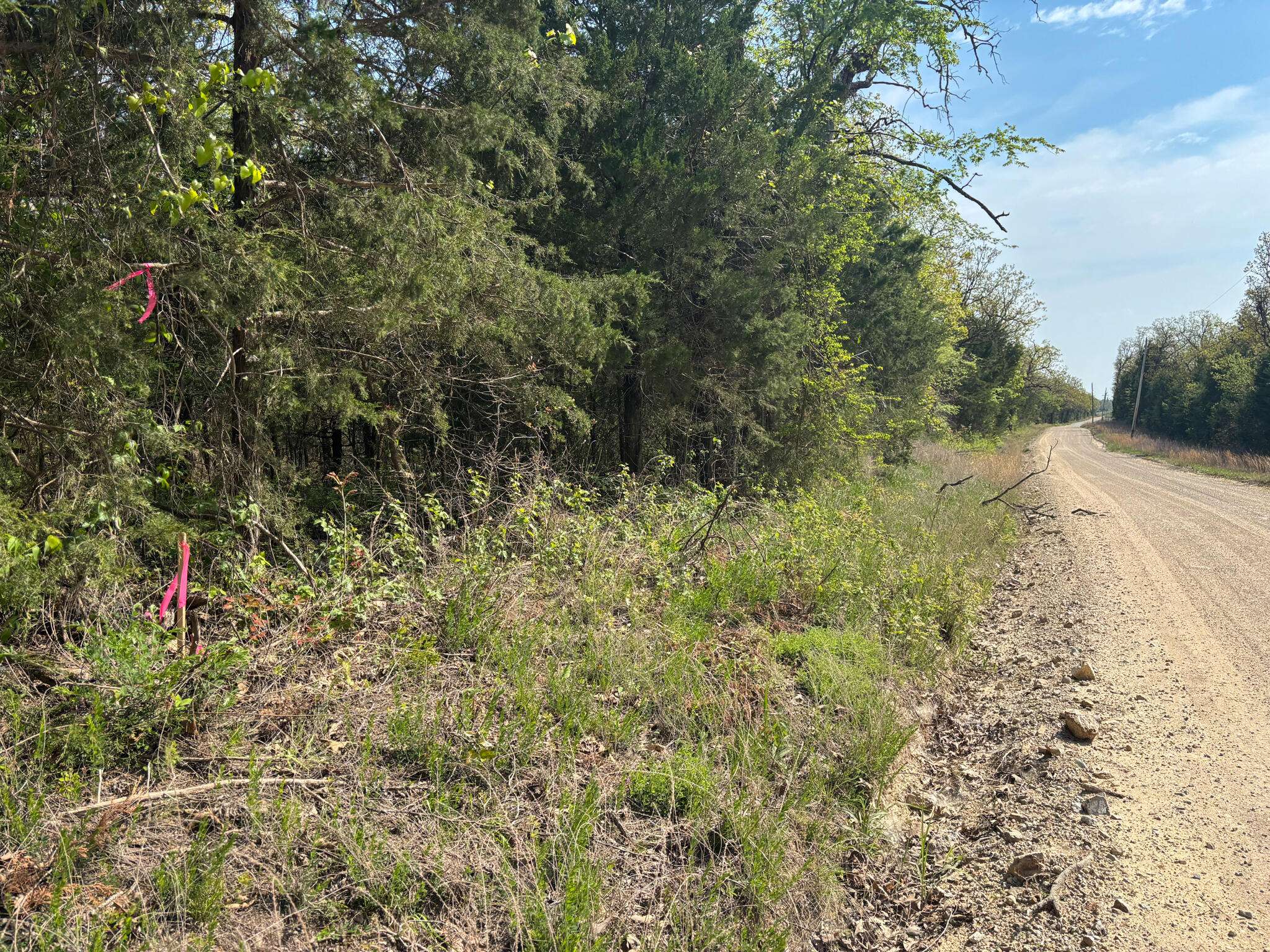 000 County Road 644, Theodosia, MO 65761