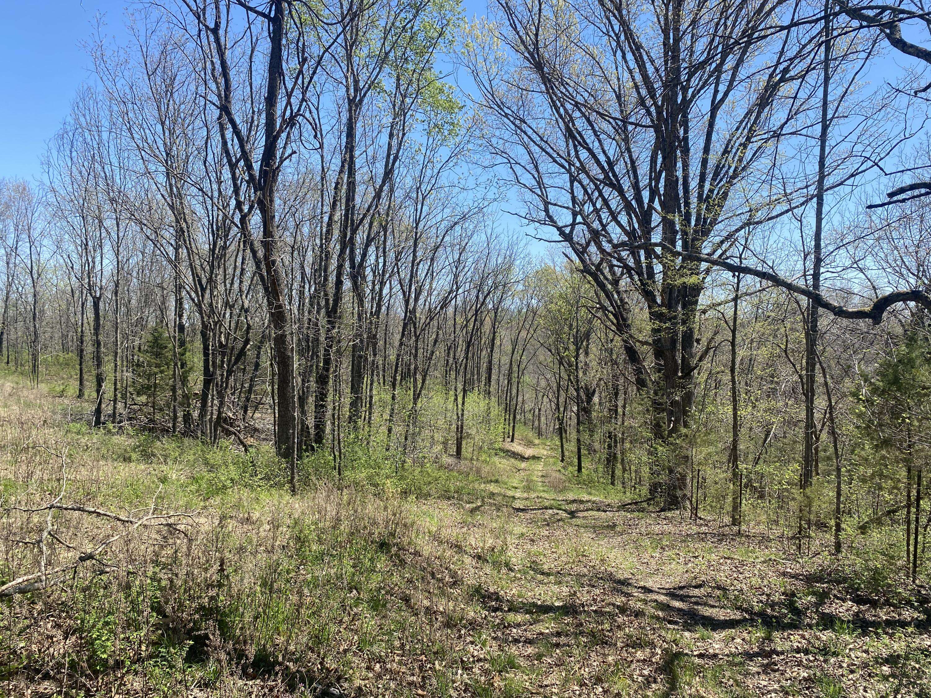 000 Joshua Tree RD, Highlandville, MO 65669