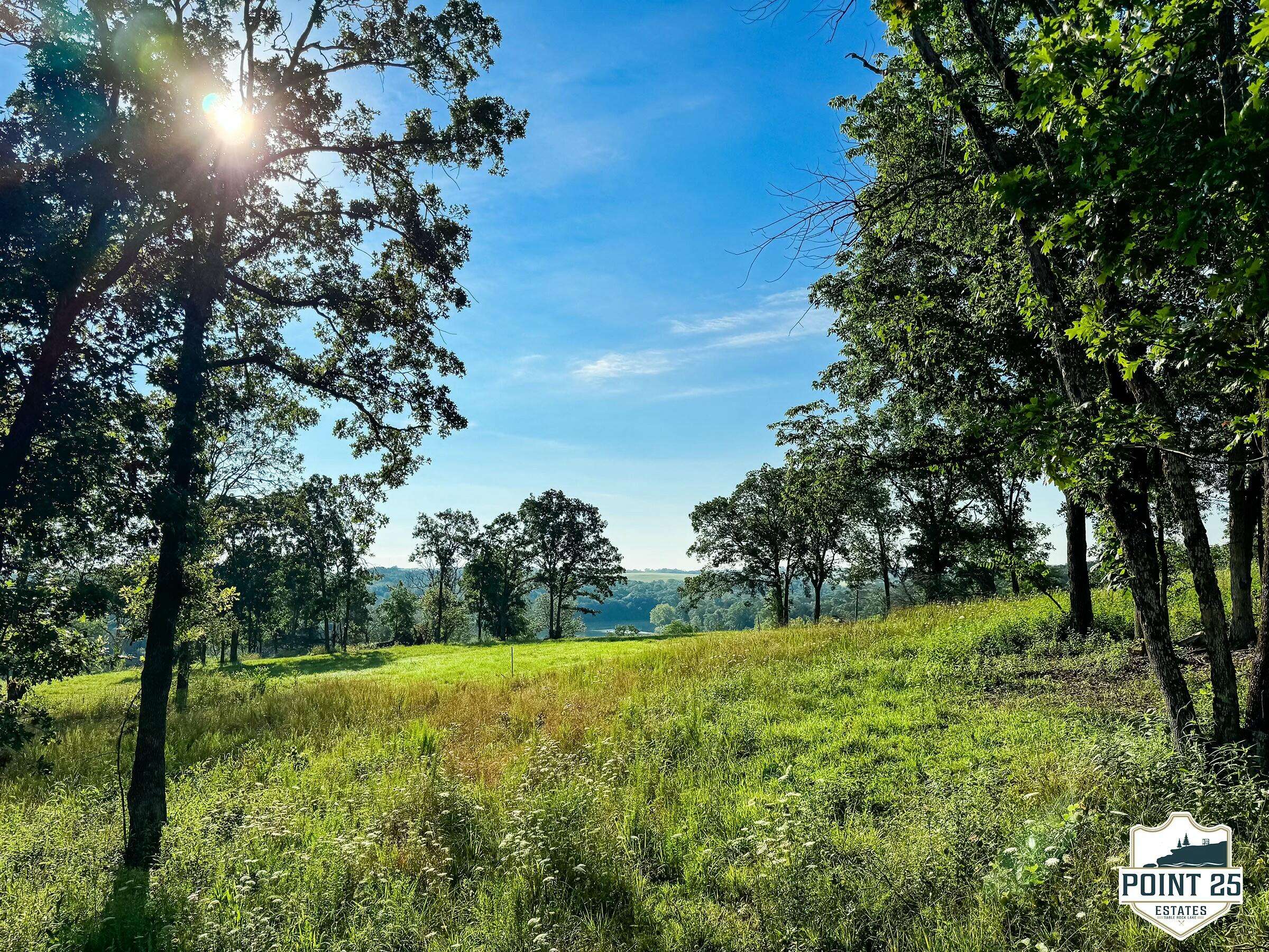 Lot 40a Boulder Rdg, Eagle Rock, MO 65641