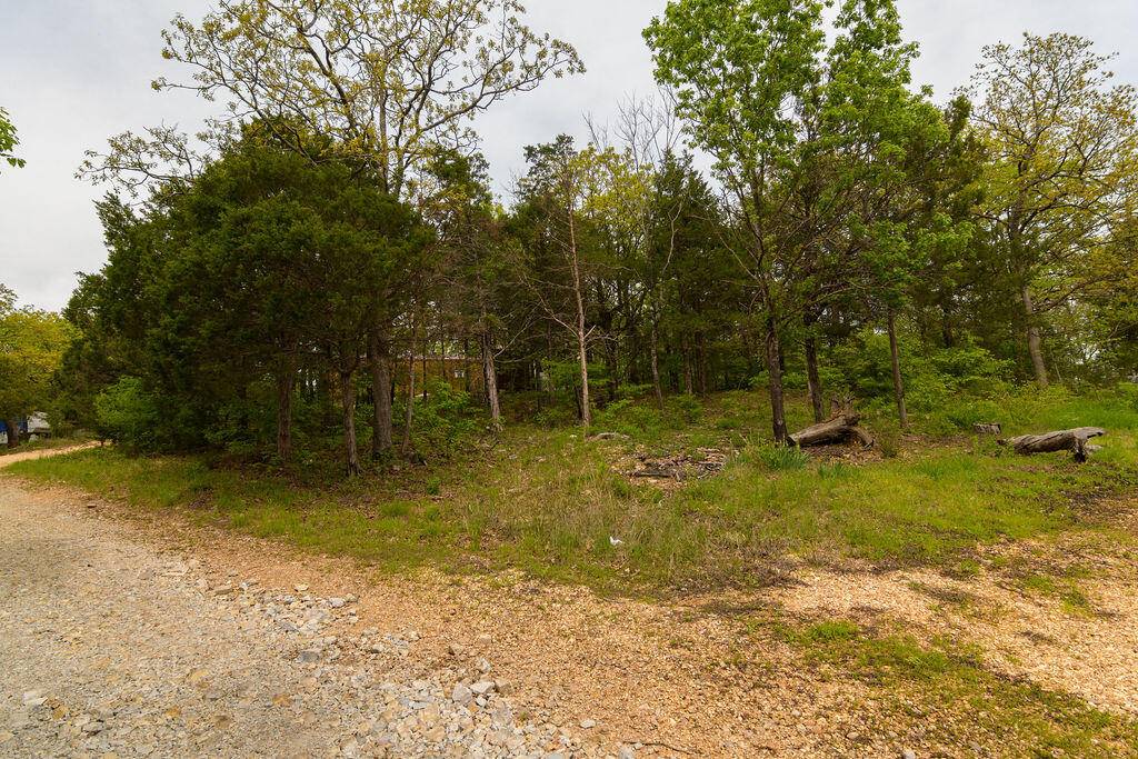 Tbd Perch ST, Kissee Mills, MO 65680