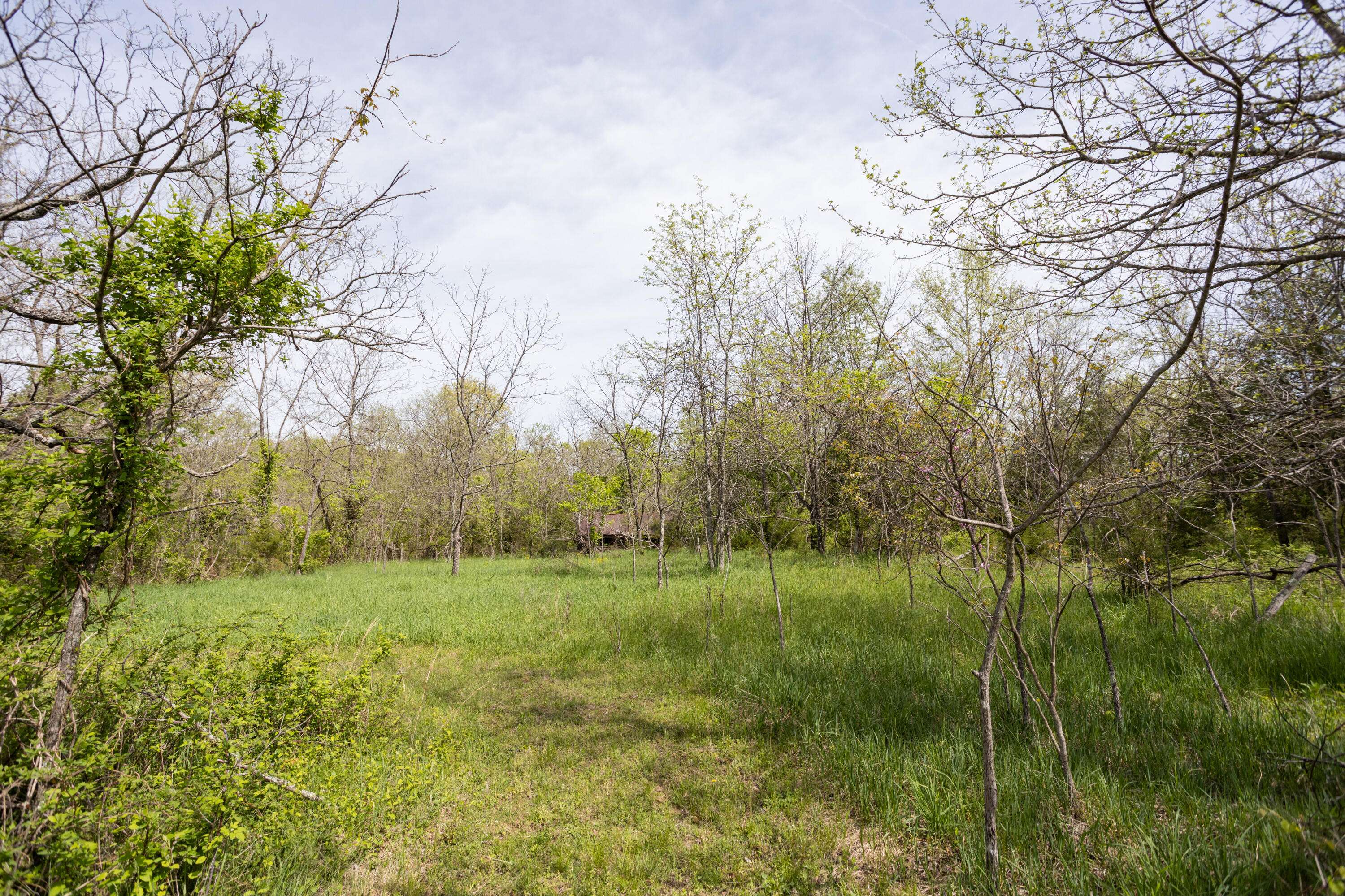 4940 Sellers Ford RD, Hartville, MO 65667